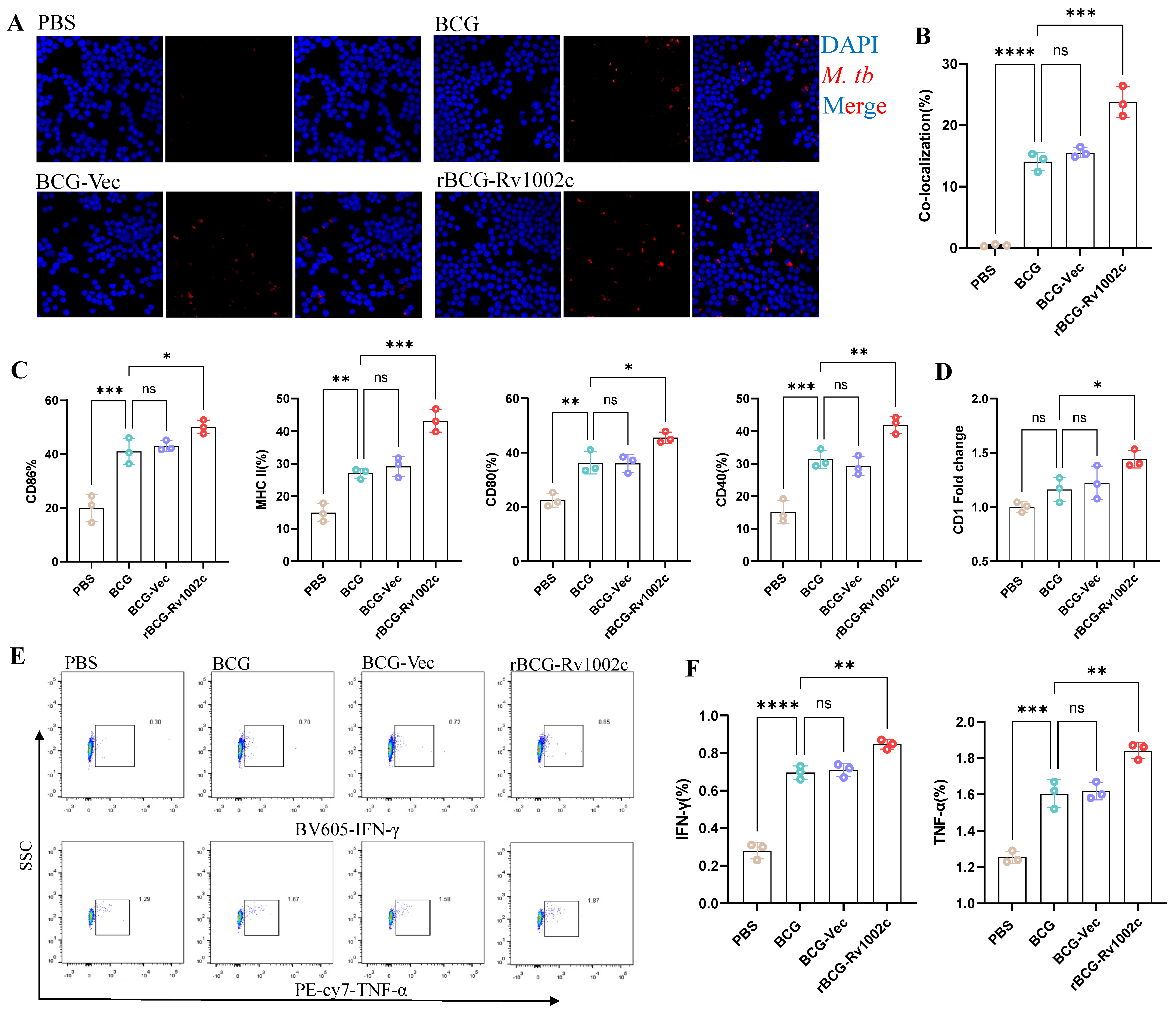 Vaccines 12 00622 g002