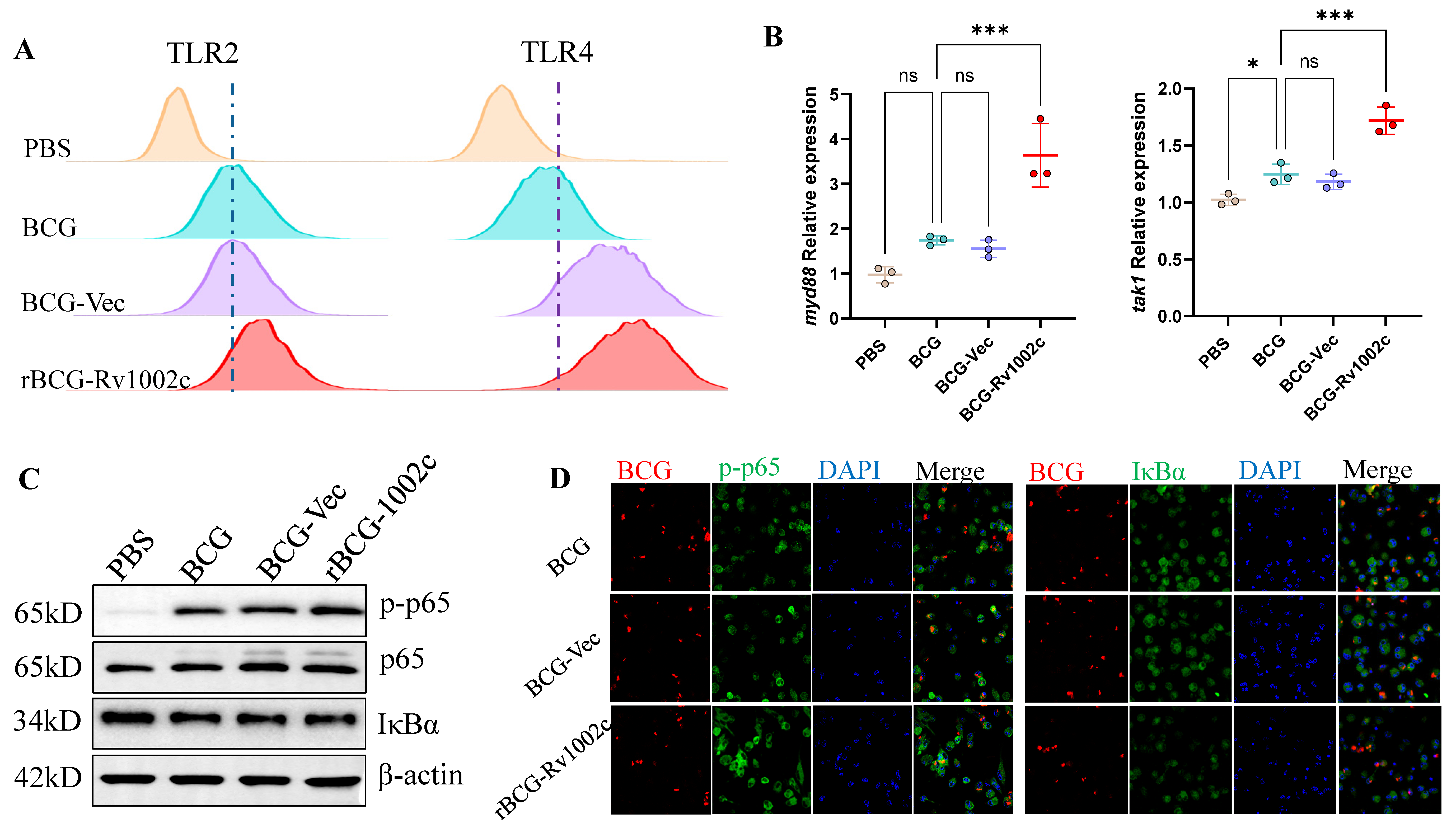 Vaccines 12 00622 g003
