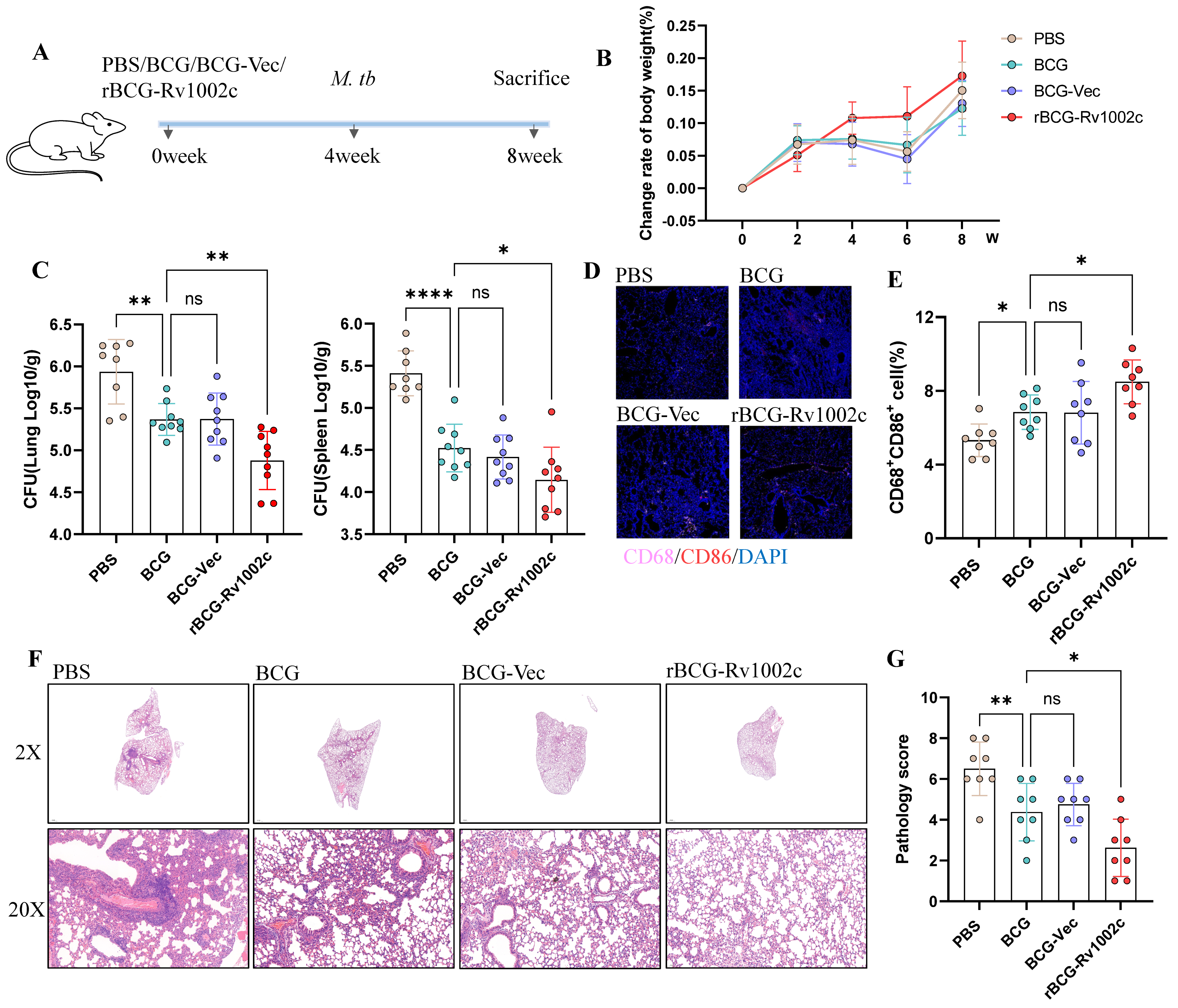 Vaccines 12 00622 g006