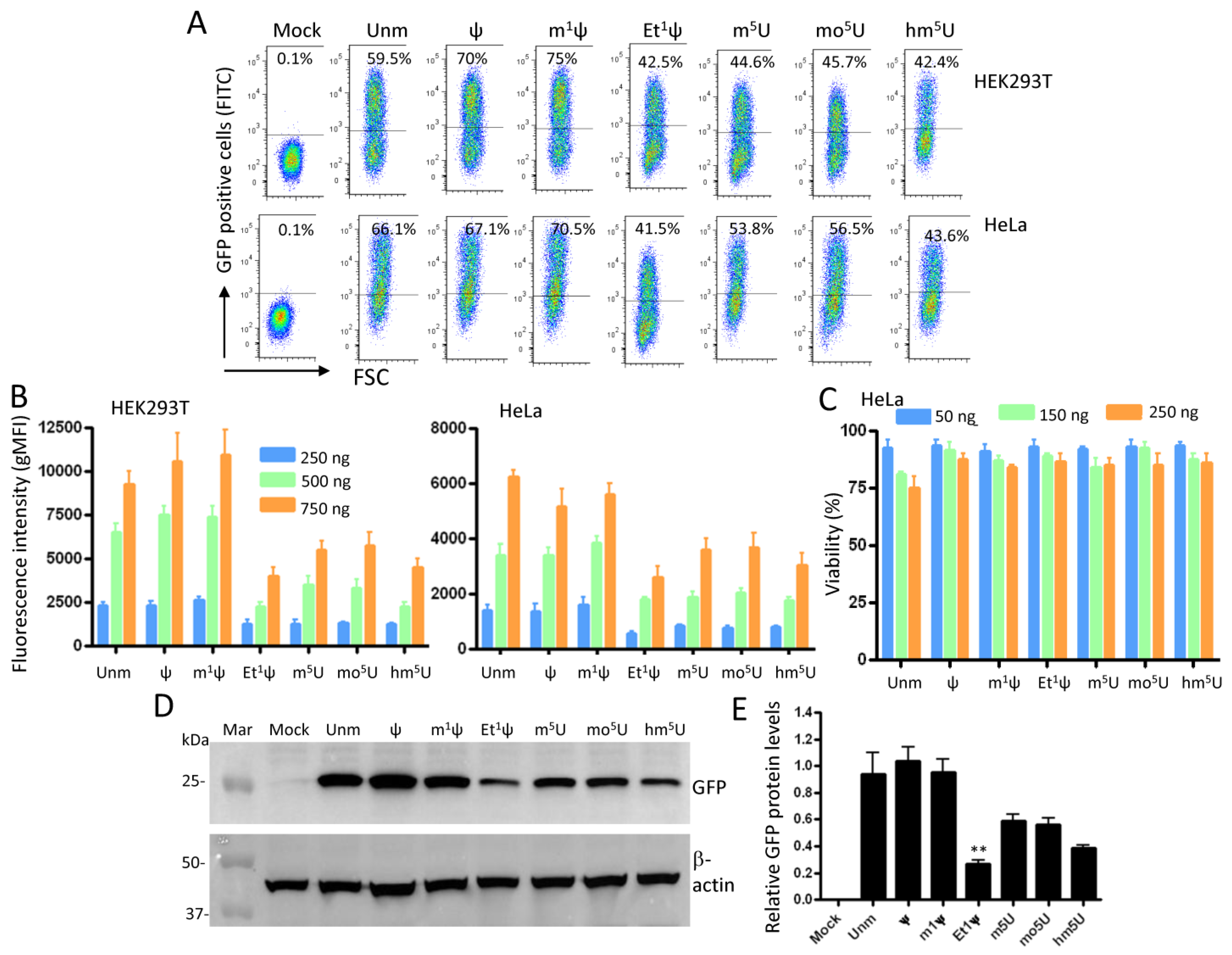 Vaccines 12 00624 g003