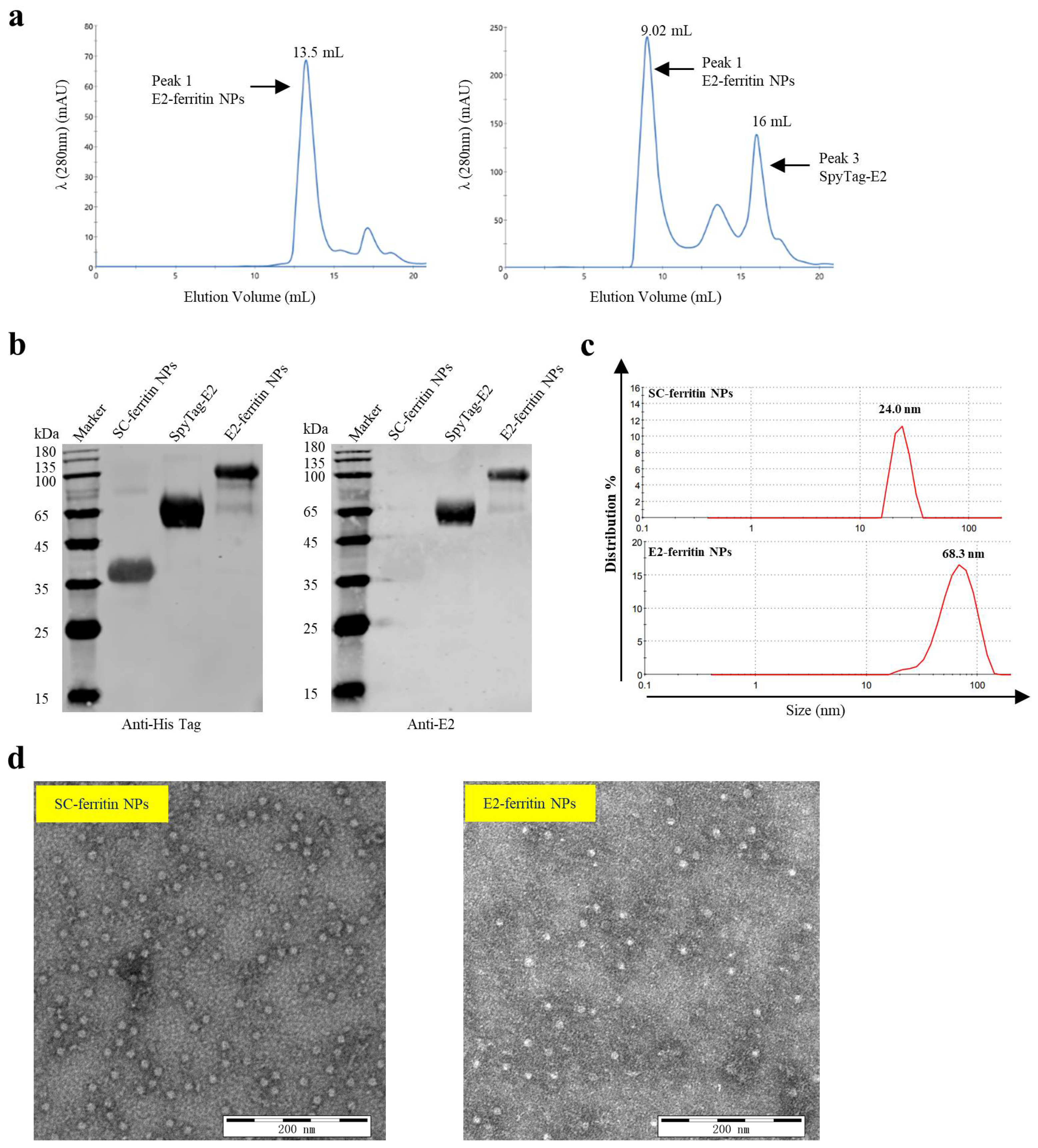 Vaccines 12 00629 g002