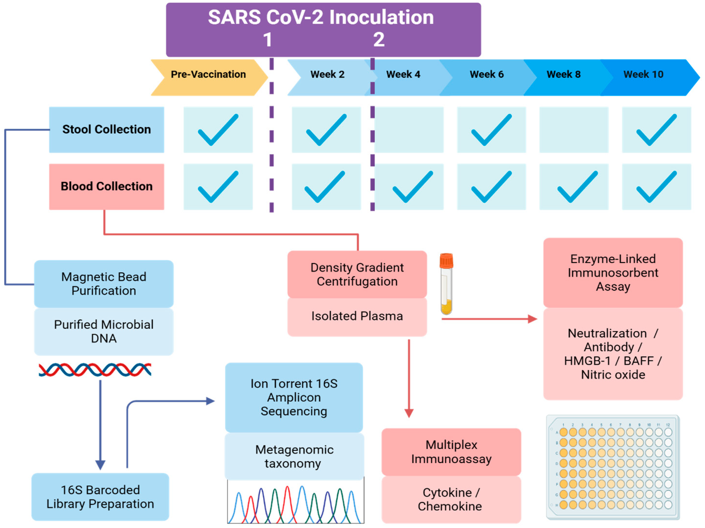 Vaccines 12 00637 g001
