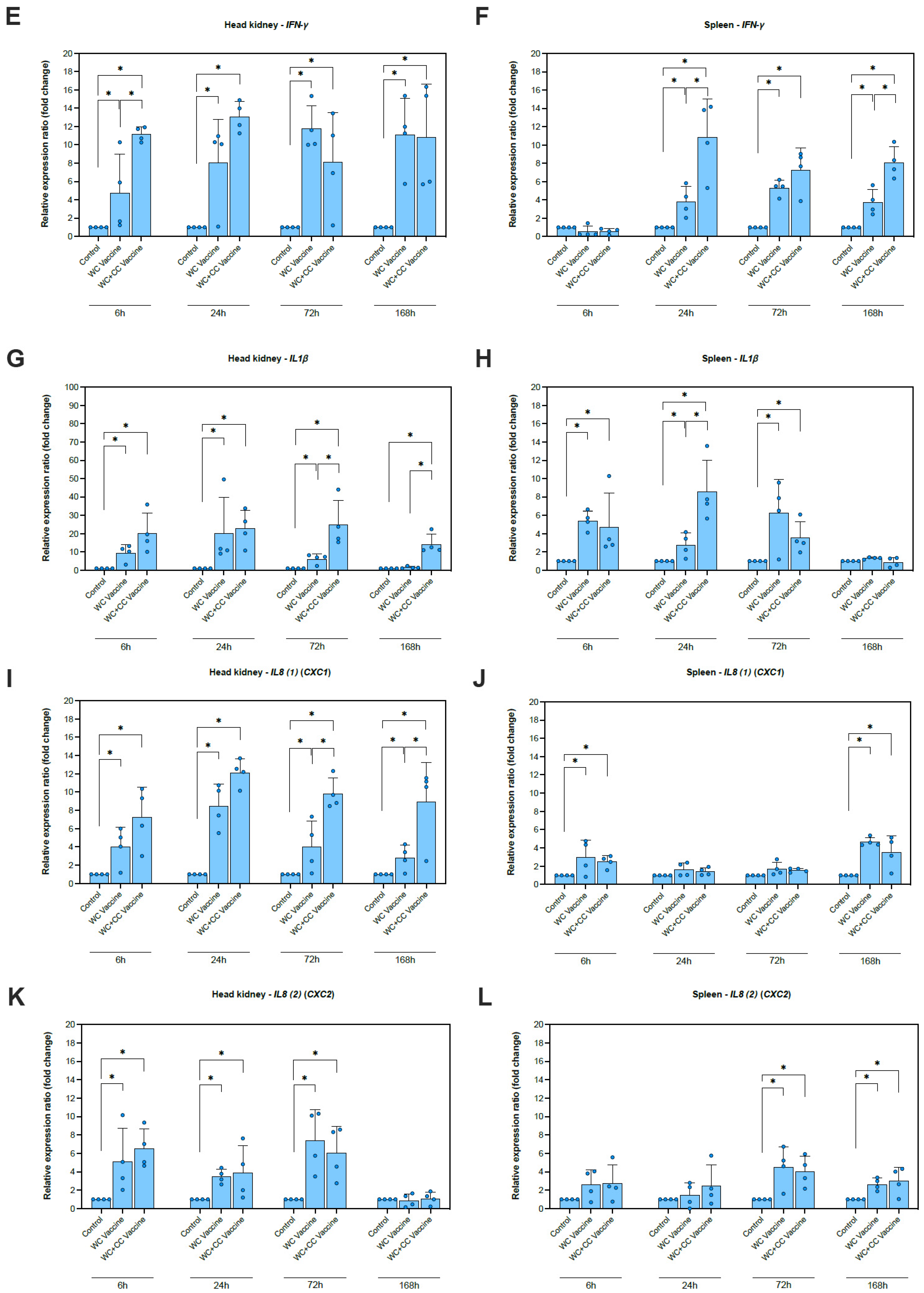 Vaccines 12 00641 g002b