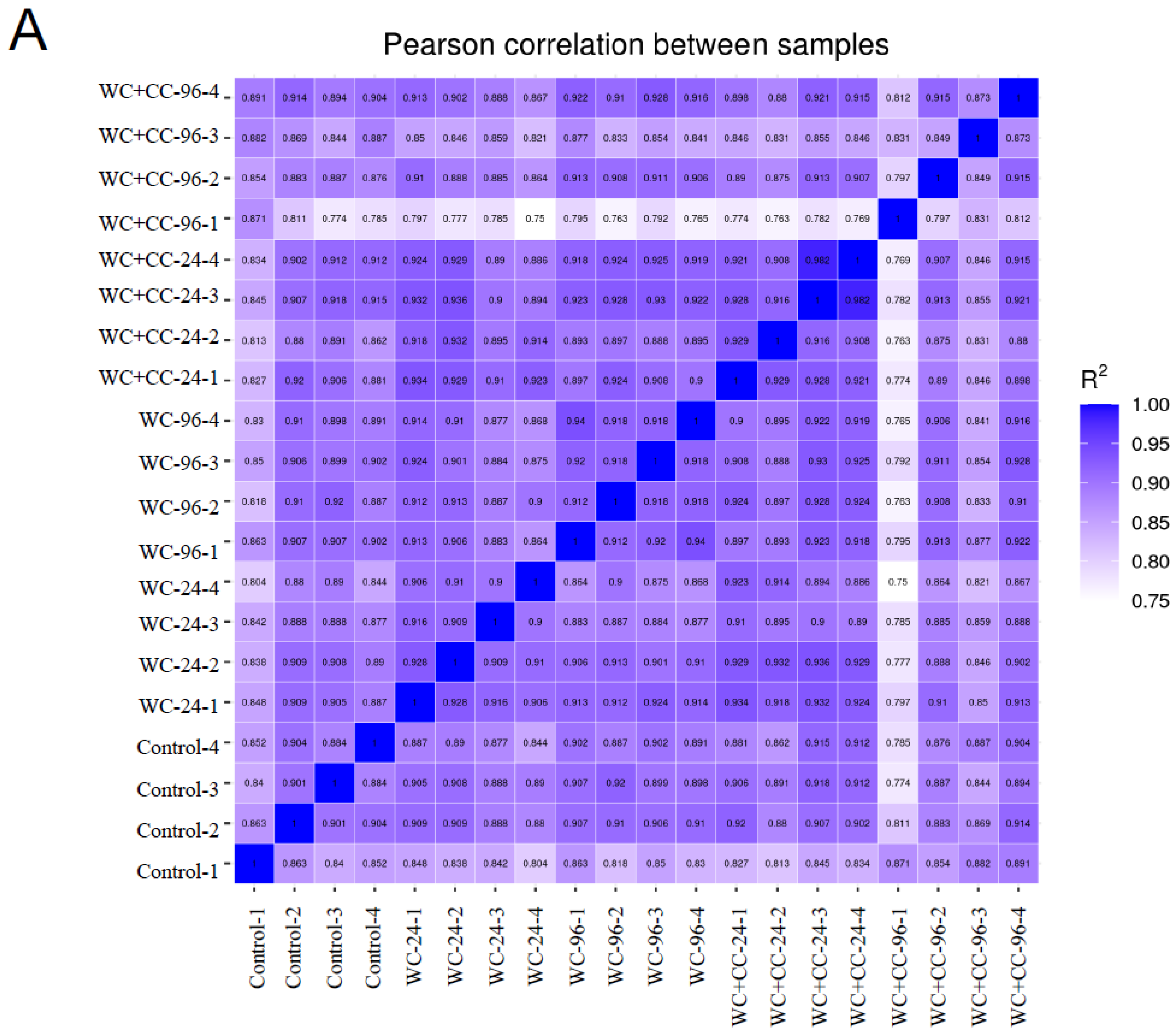 Vaccines 12 00641 g003a