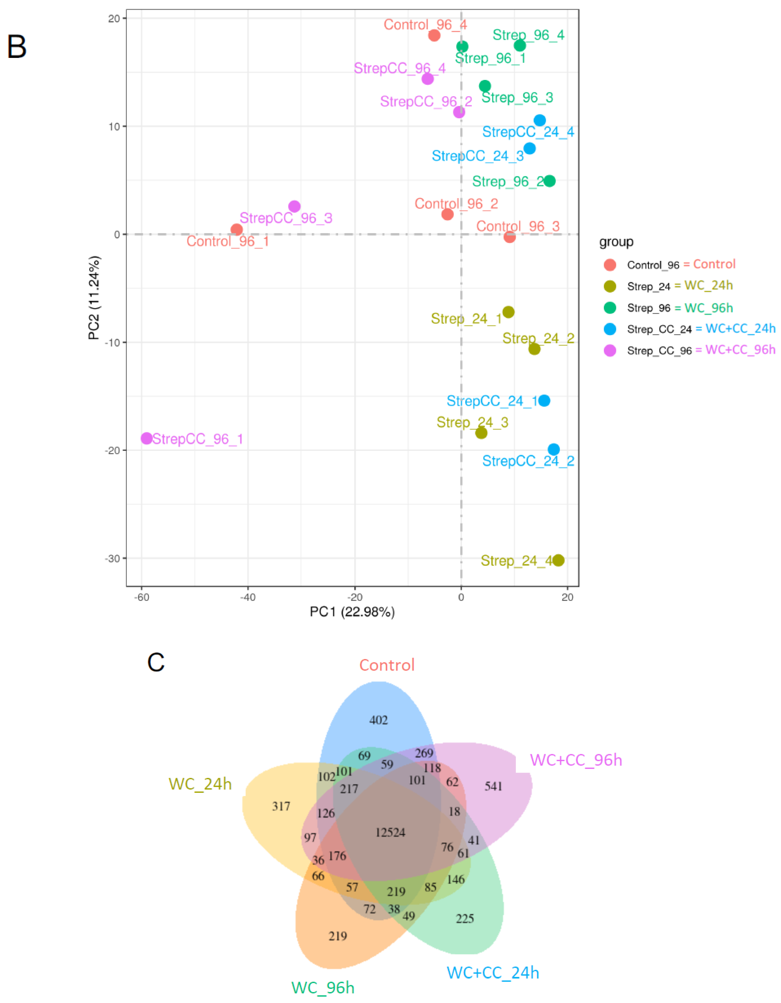 Vaccines 12 00641 g003b