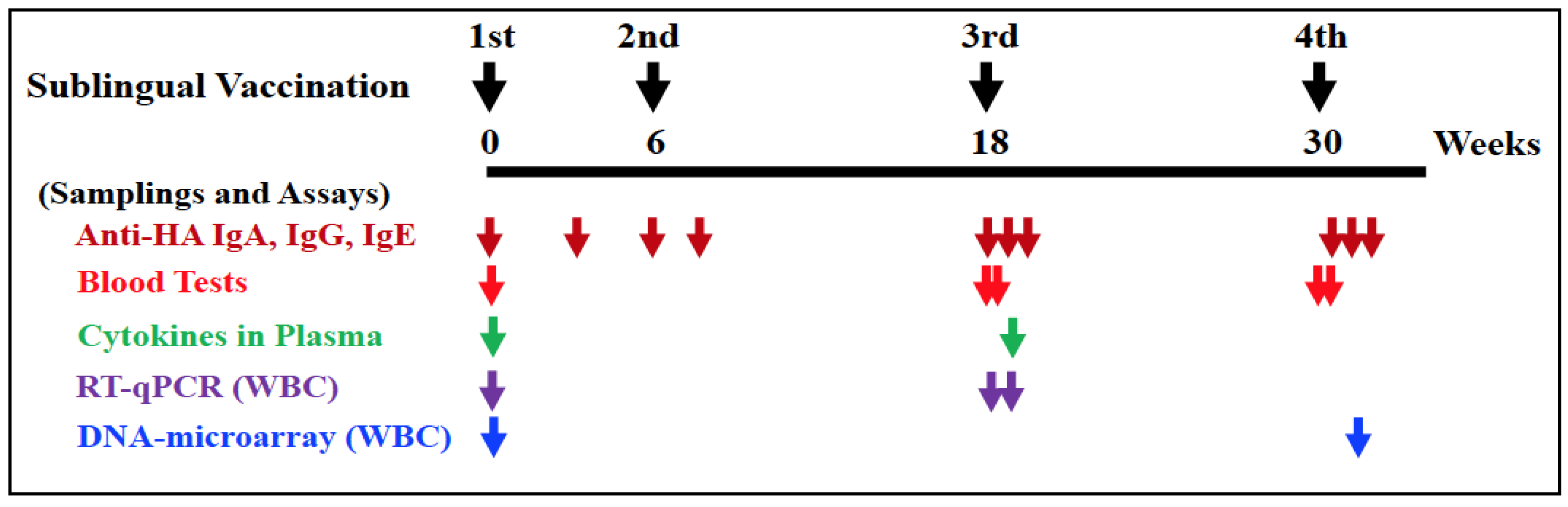 Vaccines 12 00643 g001 Vaccines 12 00643 g001