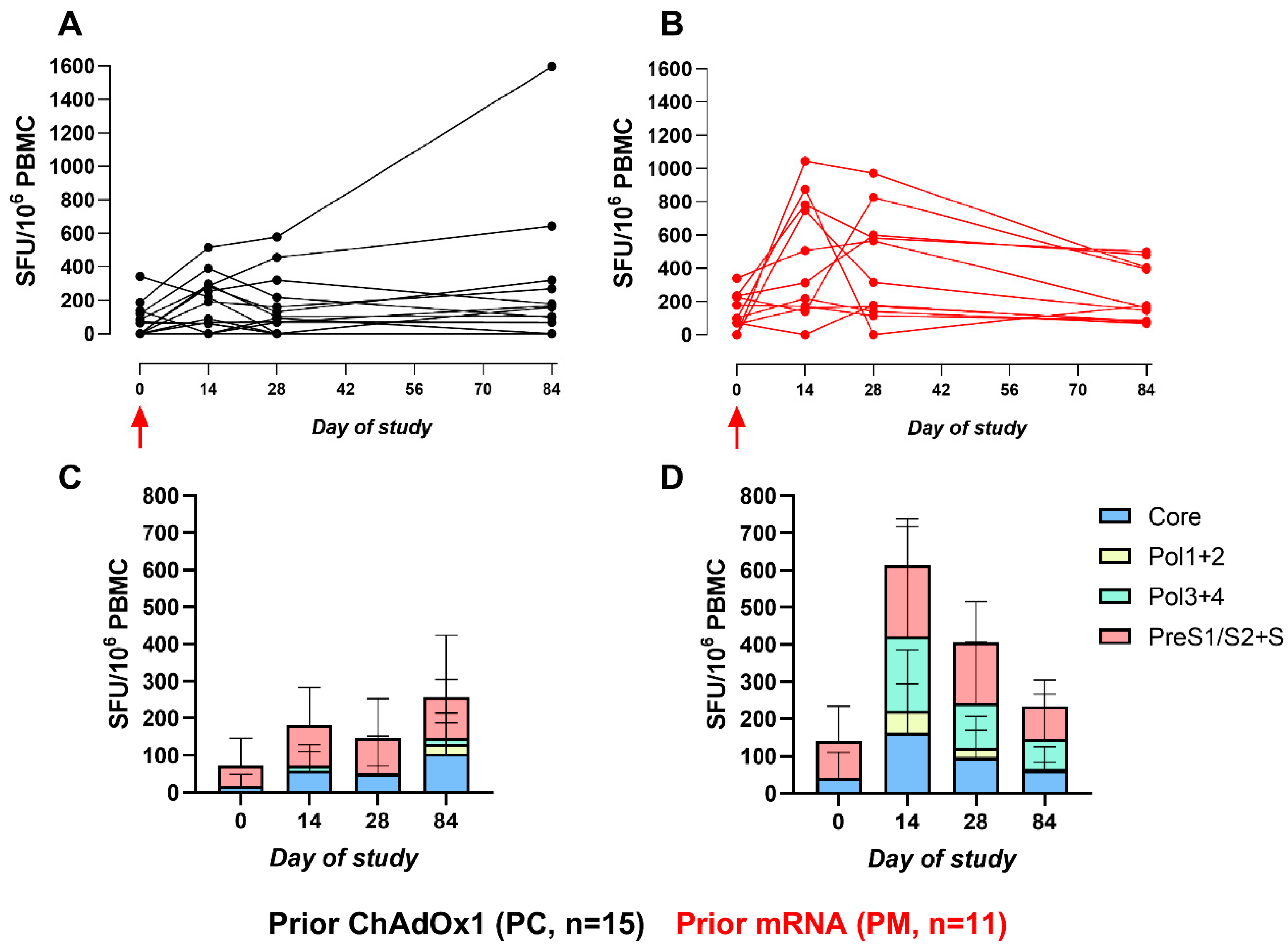 Vaccines 12 00644 g001