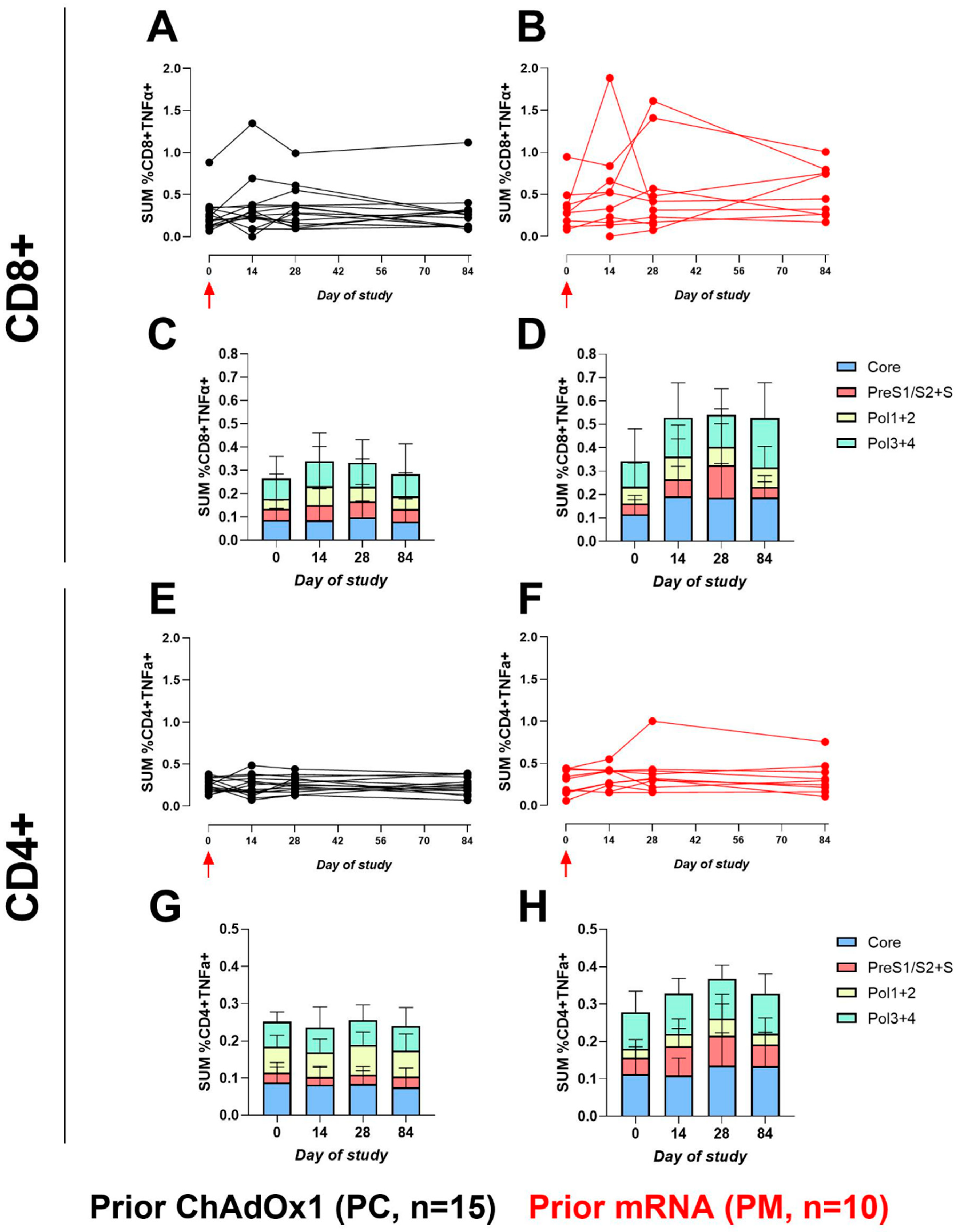Vaccines 12 00644 g004
