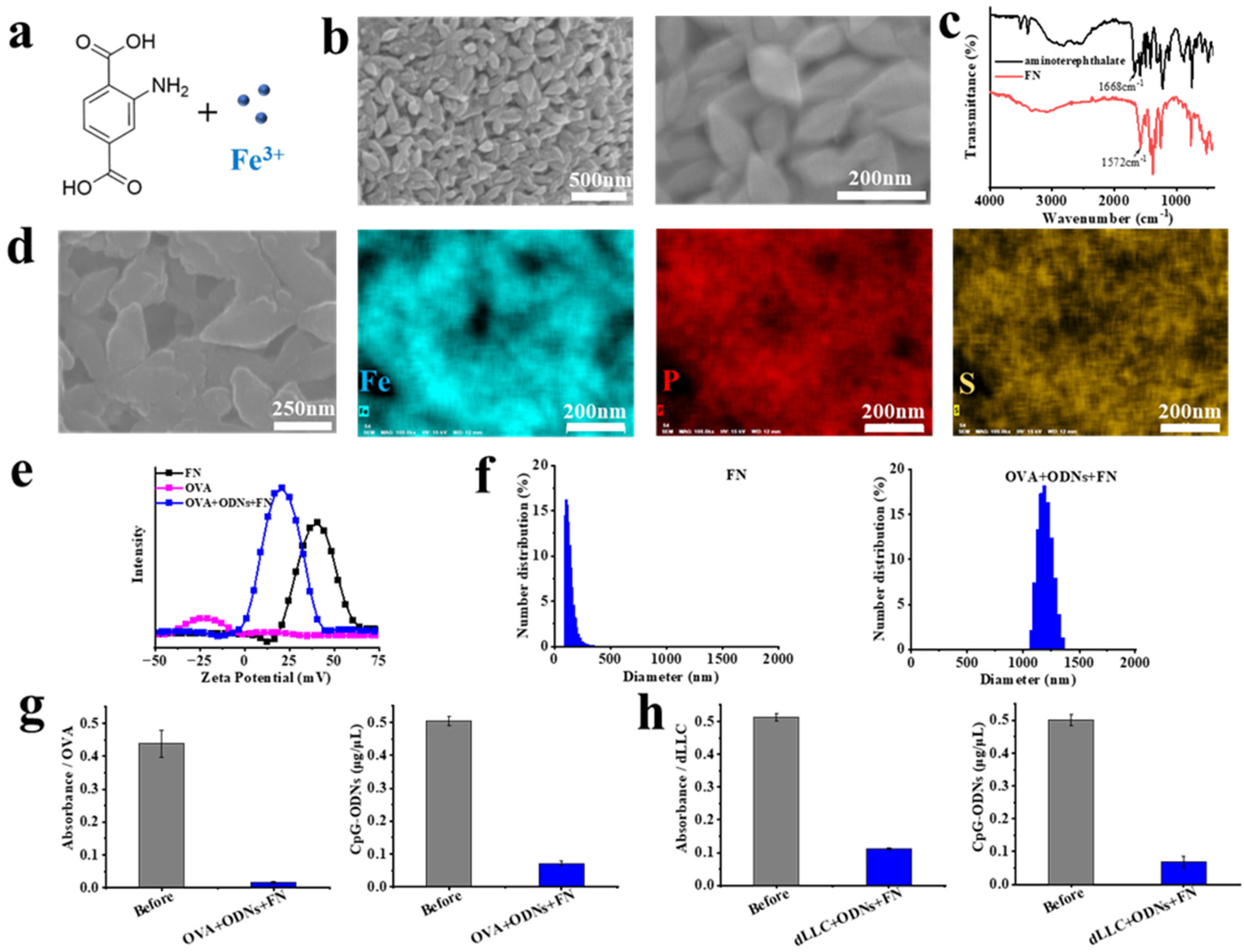 Vaccines 12 00649 g001