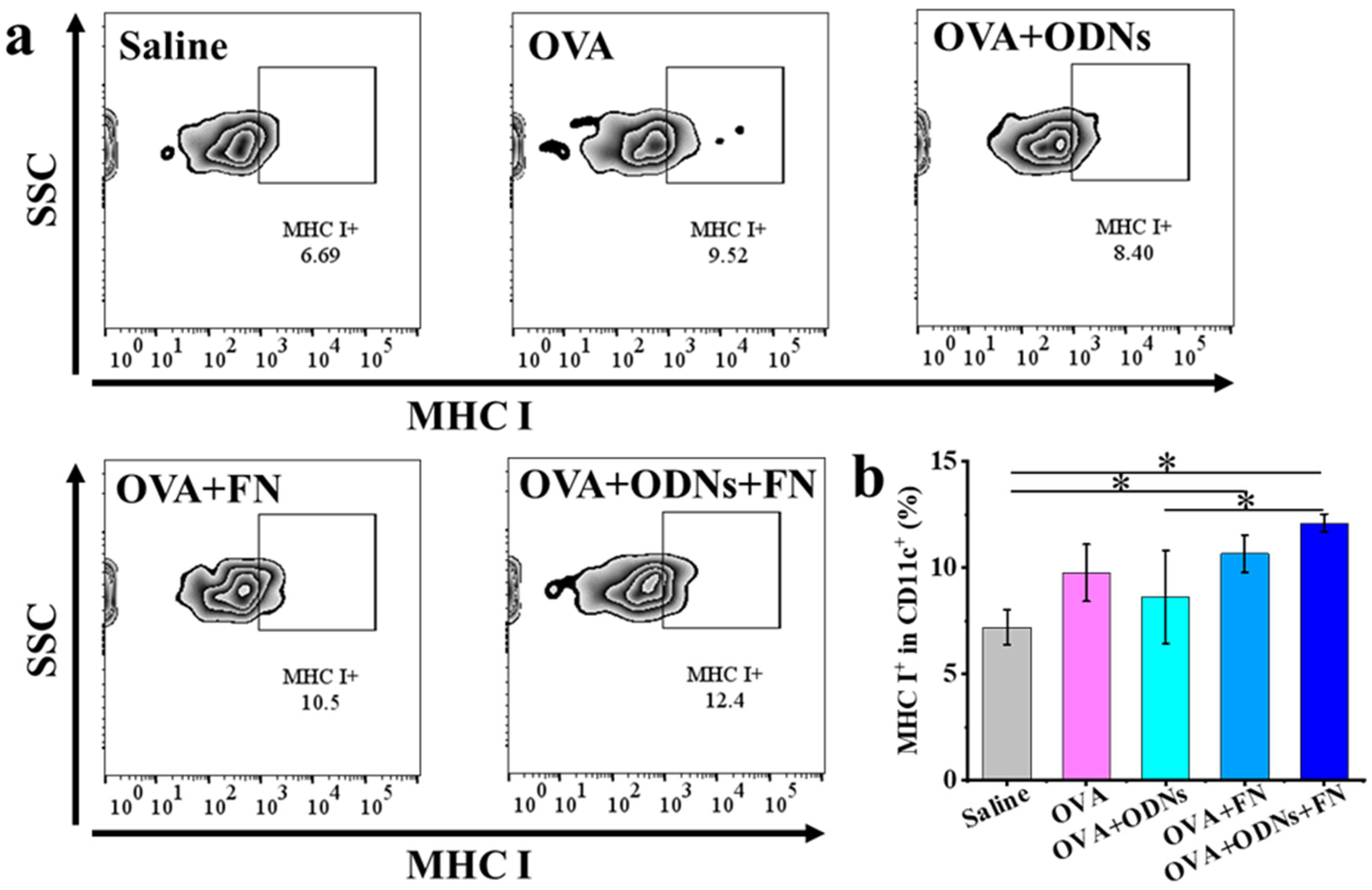 Vaccines 12 00649 g003