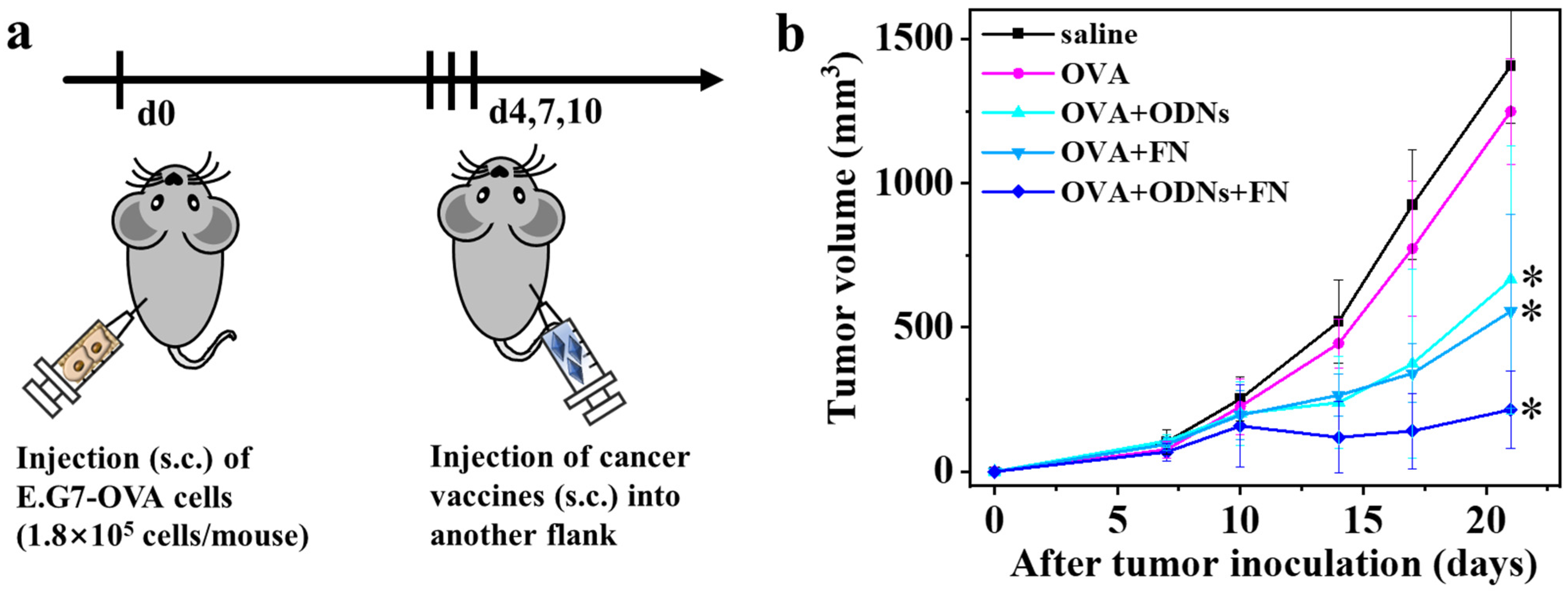 Vaccines 12 00649 g004