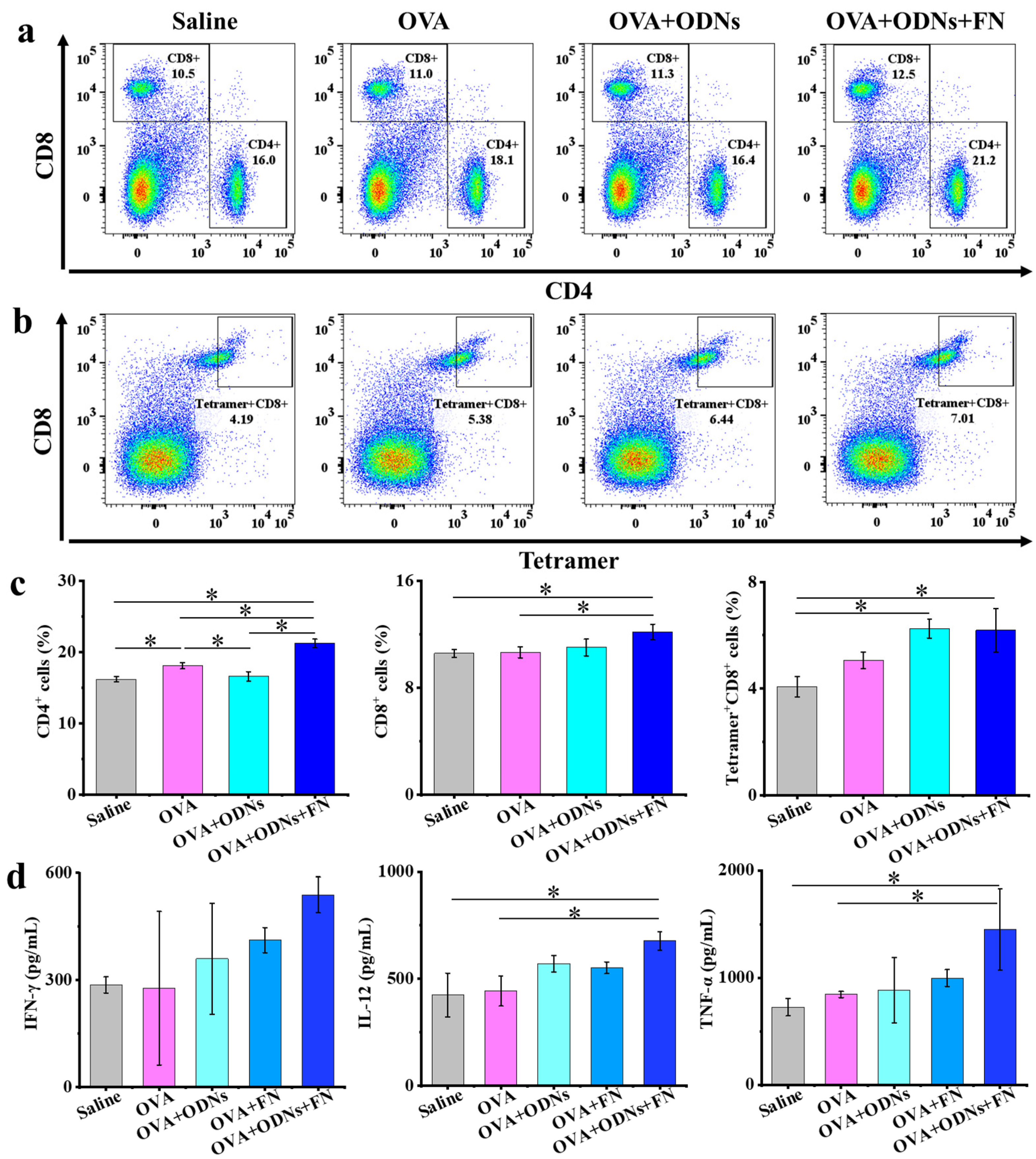Vaccines 12 00649 g005