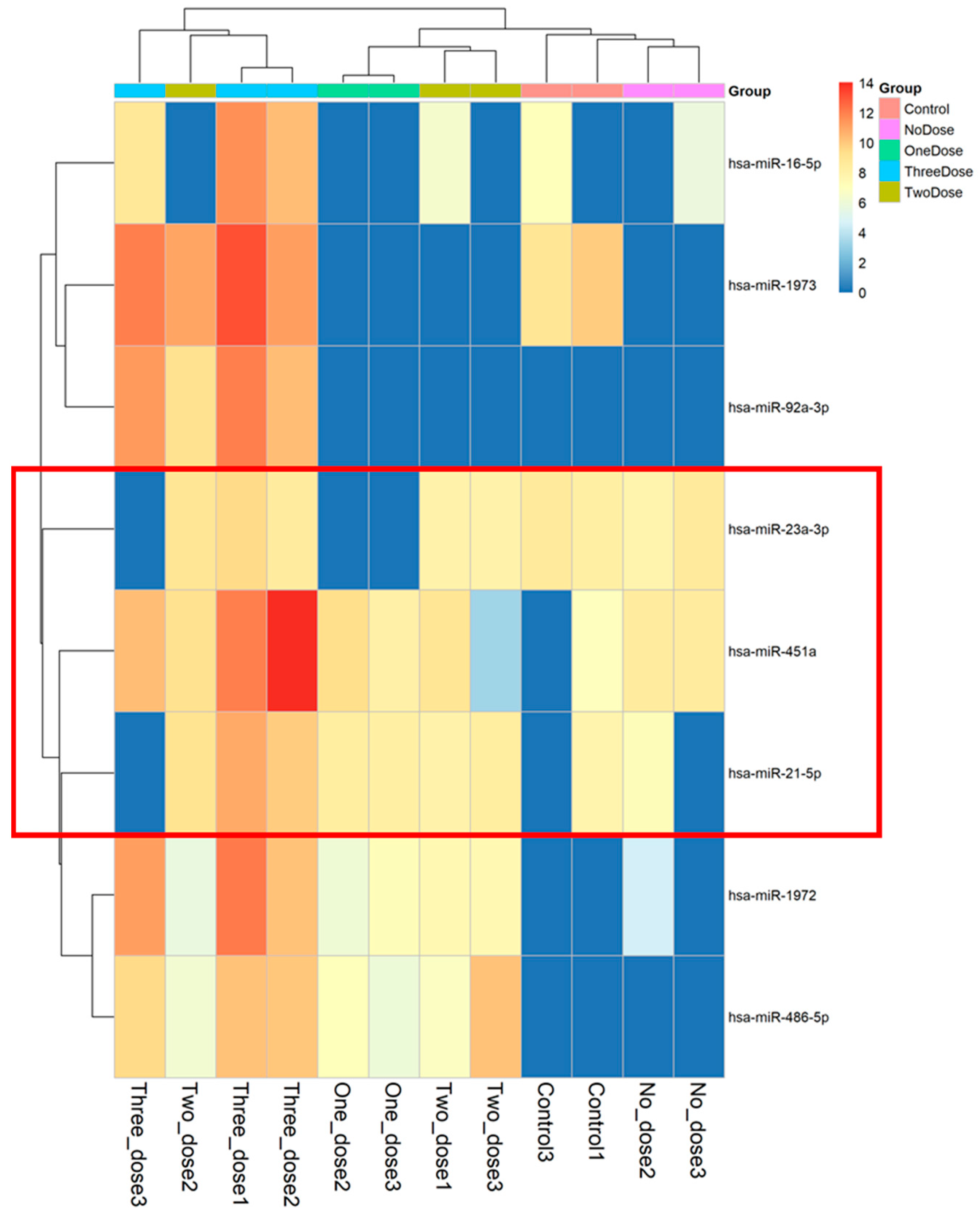Vaccines 12 00658 g004