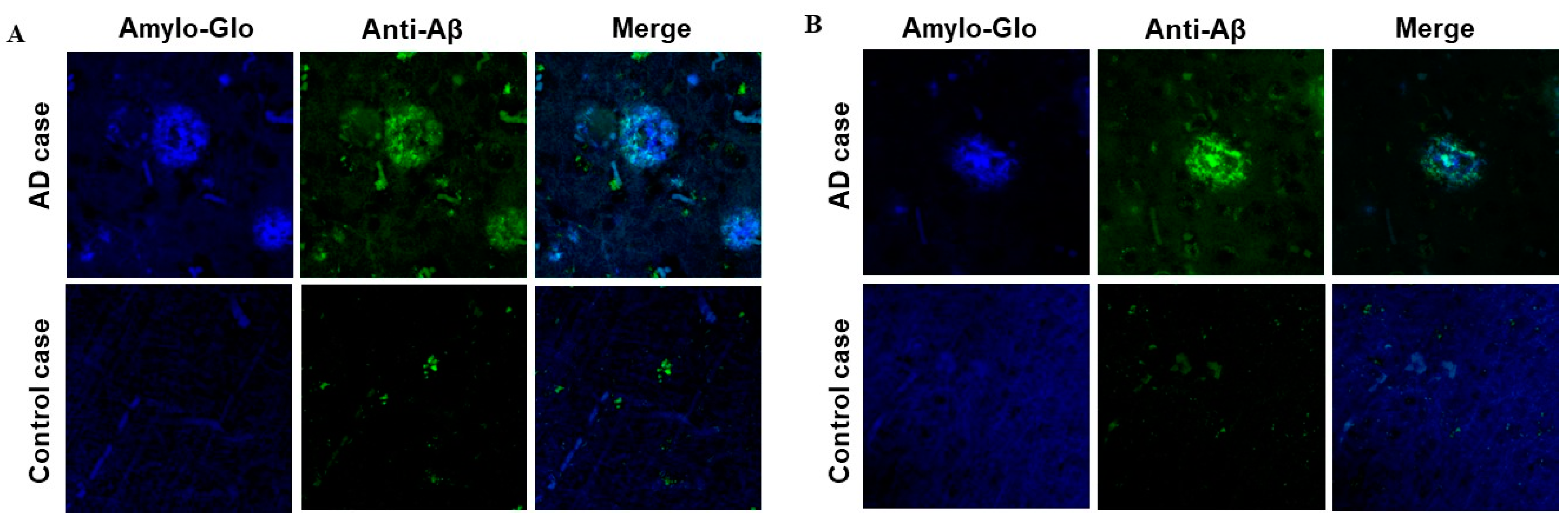 Vaccines 12 00659 g004 Vaccines 12 00659 g004