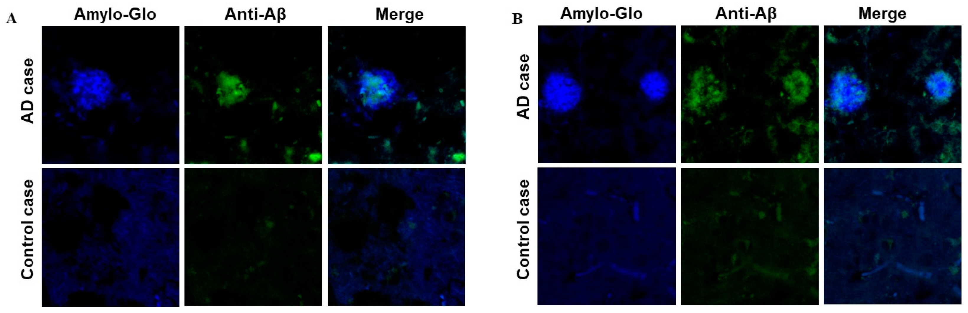 Vaccines 12 00659 g007 Vaccines 12 00659 g007
