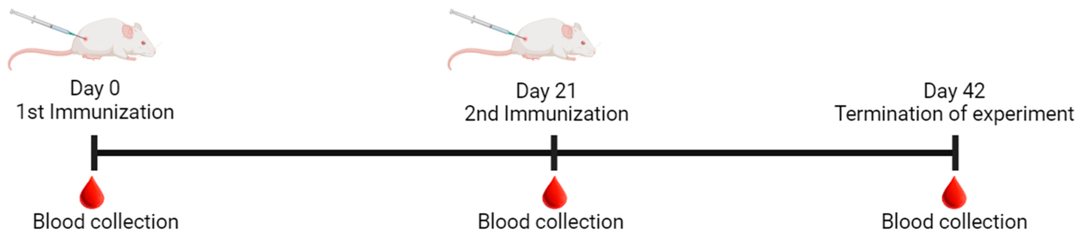 Vaccines 12 00667 g002 Vaccines 12 00667 g002