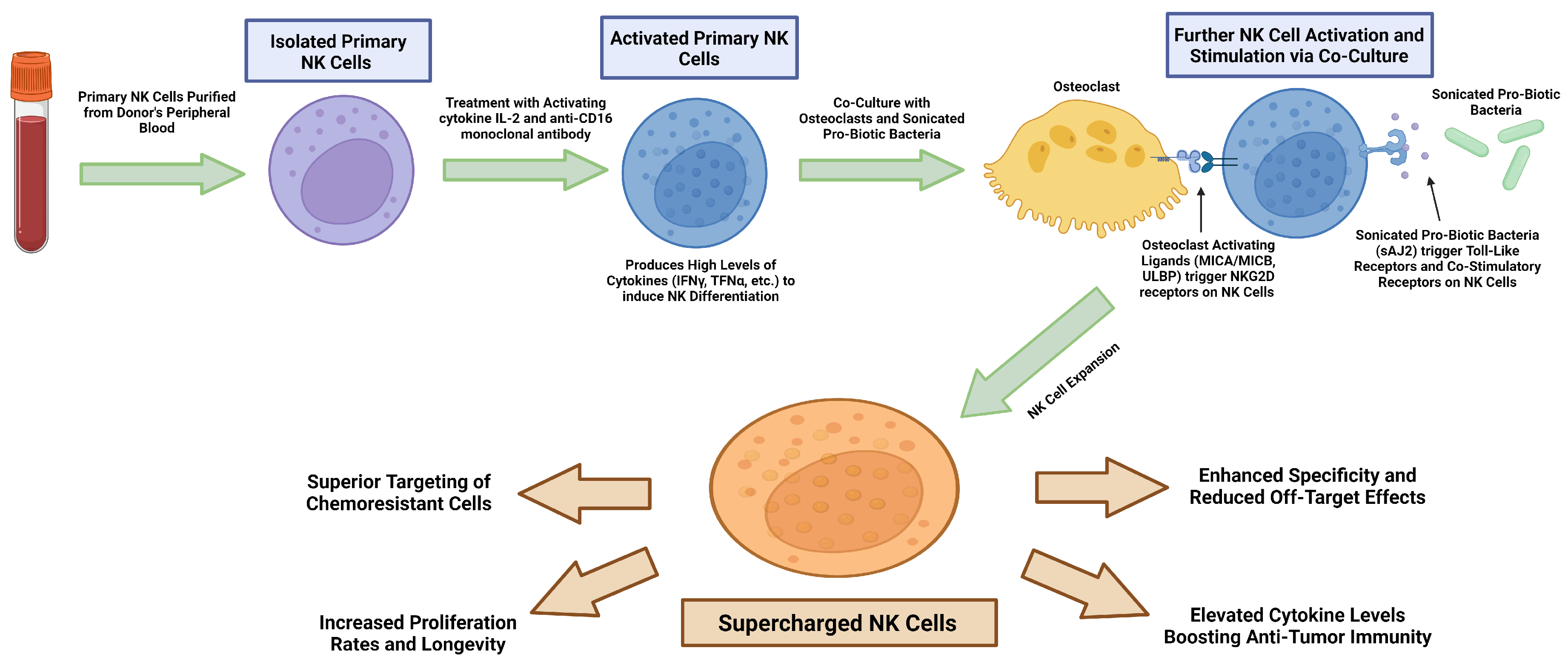Vaccines 12 00677 g002