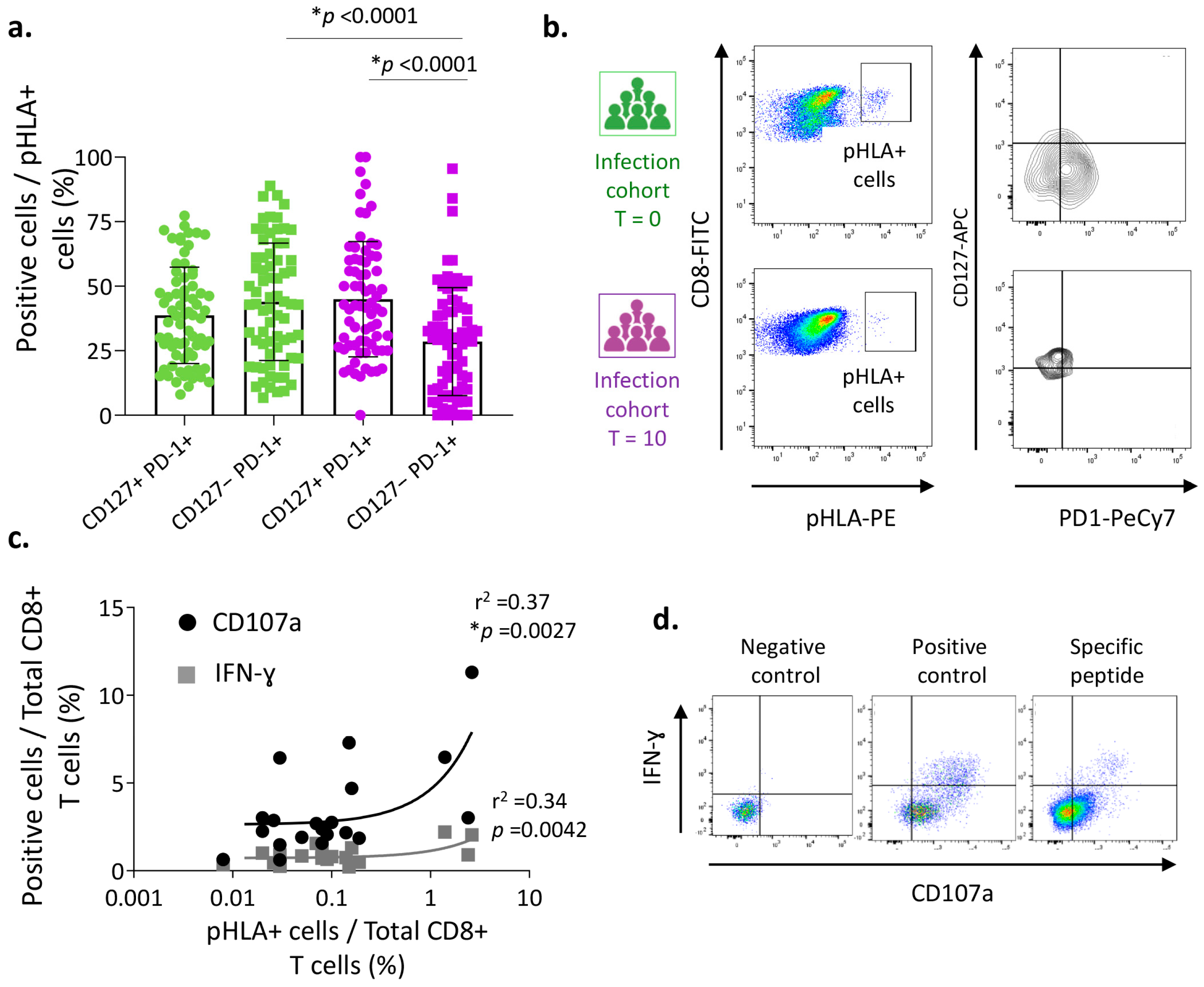 Vaccines 12 00679 g002