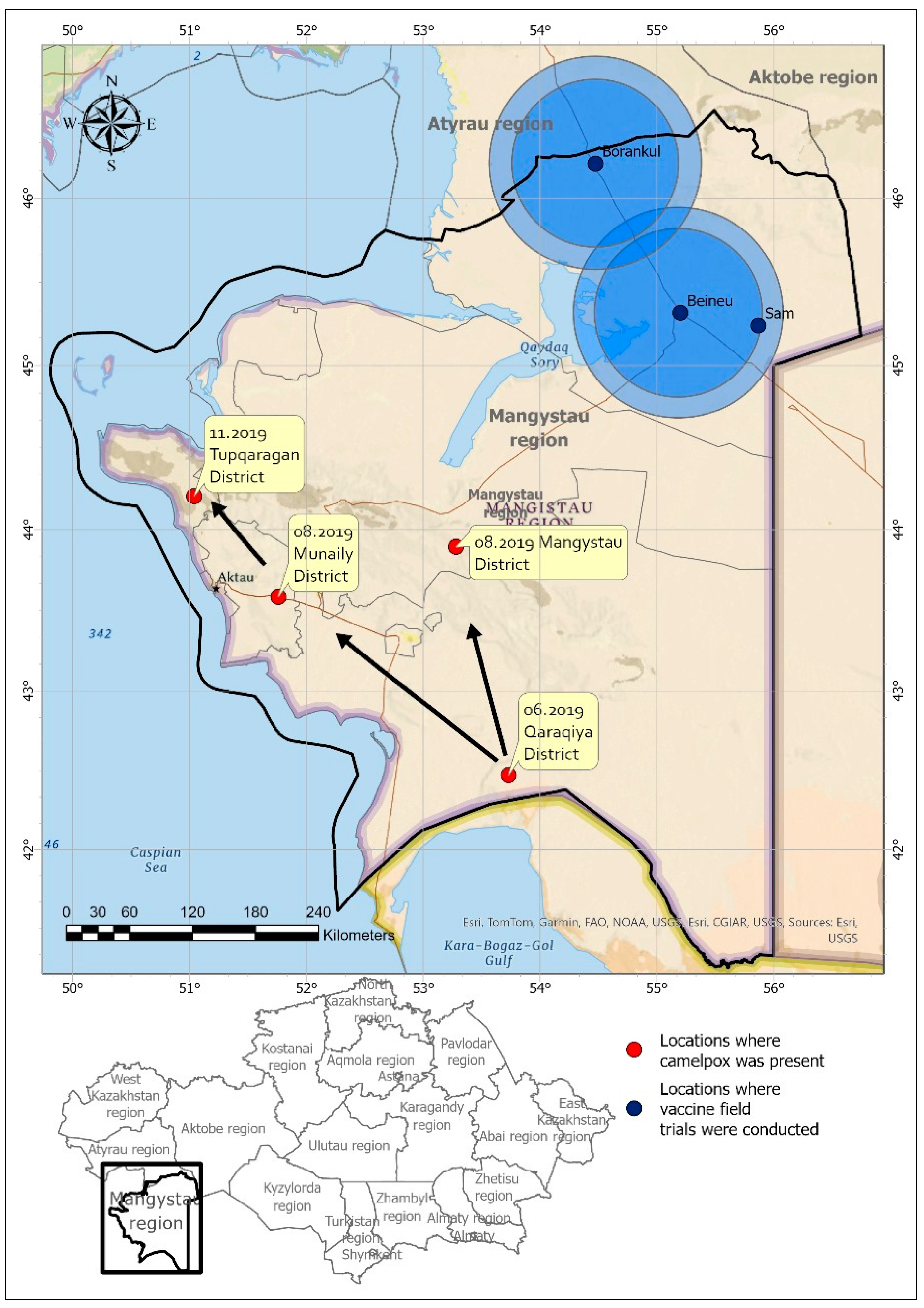 Vaccines 12 00685 g001