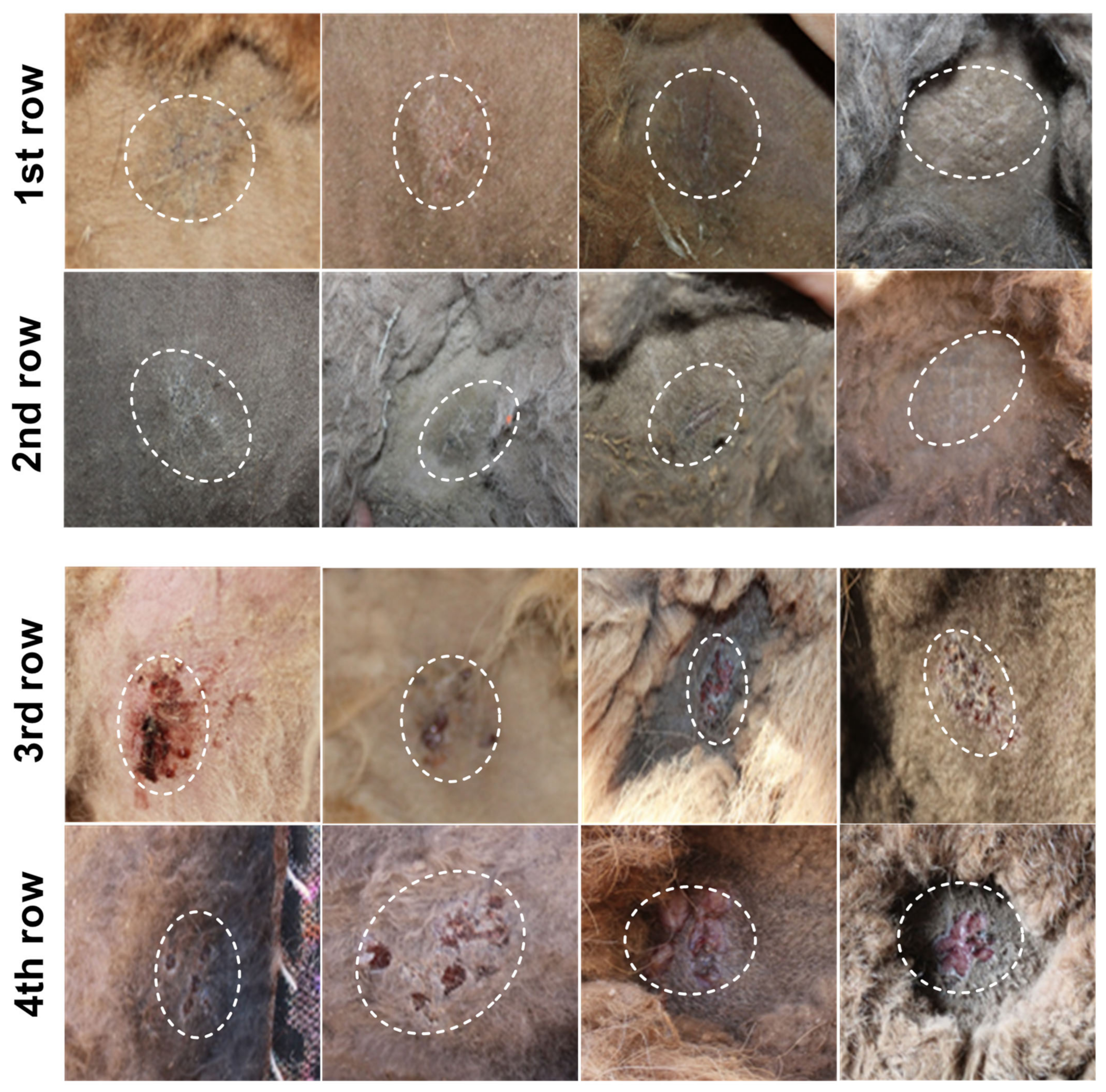 Vaccines 12 00685 g003