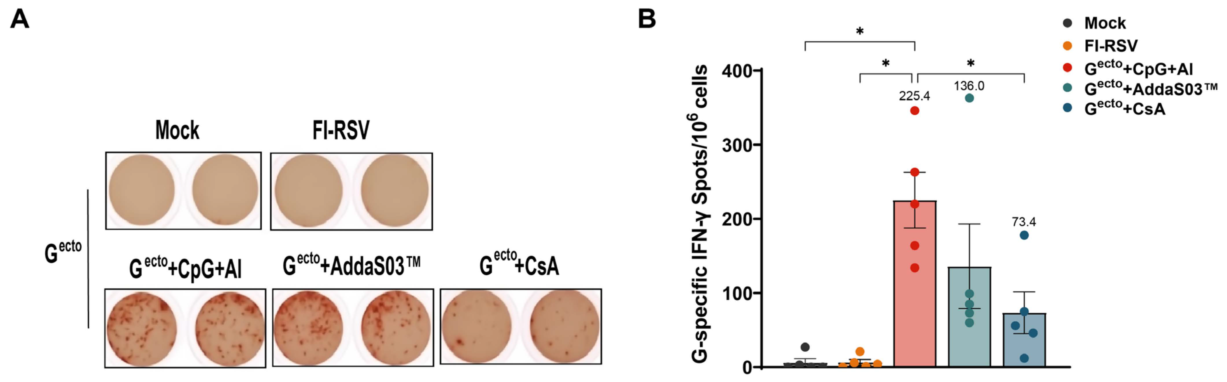 Vaccines 12 00686 g003