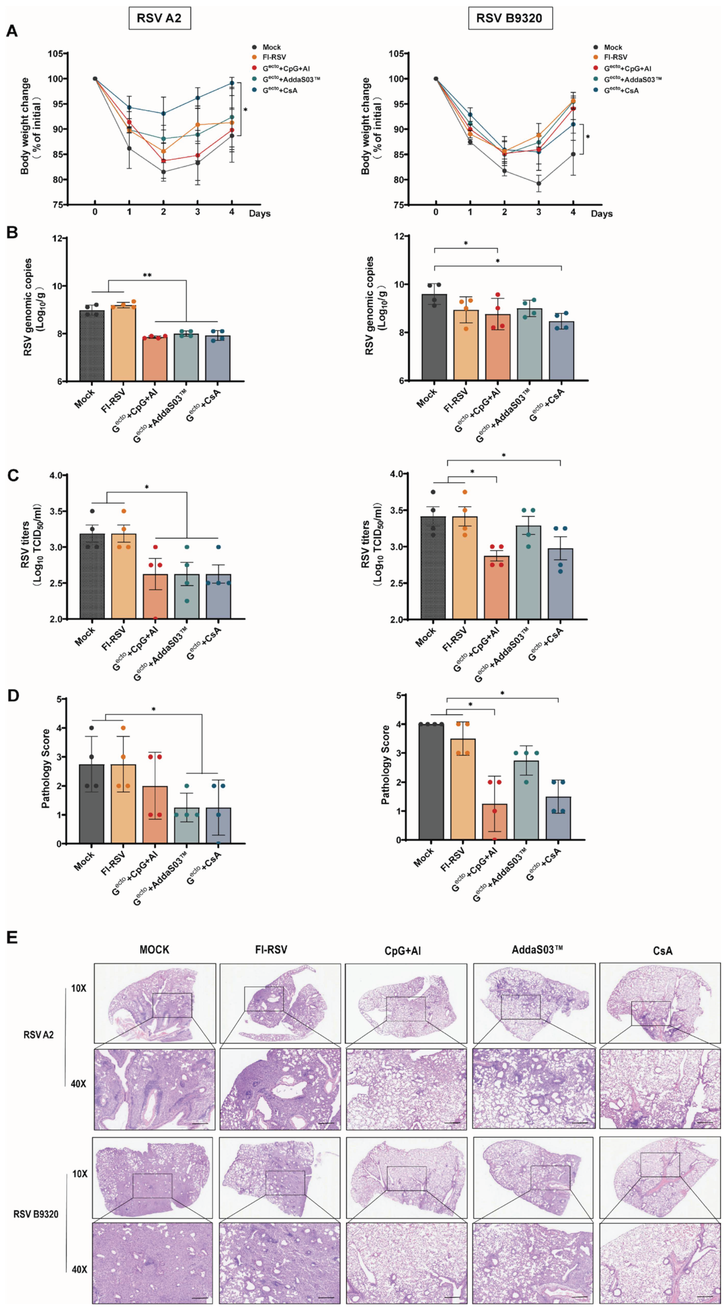 Vaccines 12 00686 g005