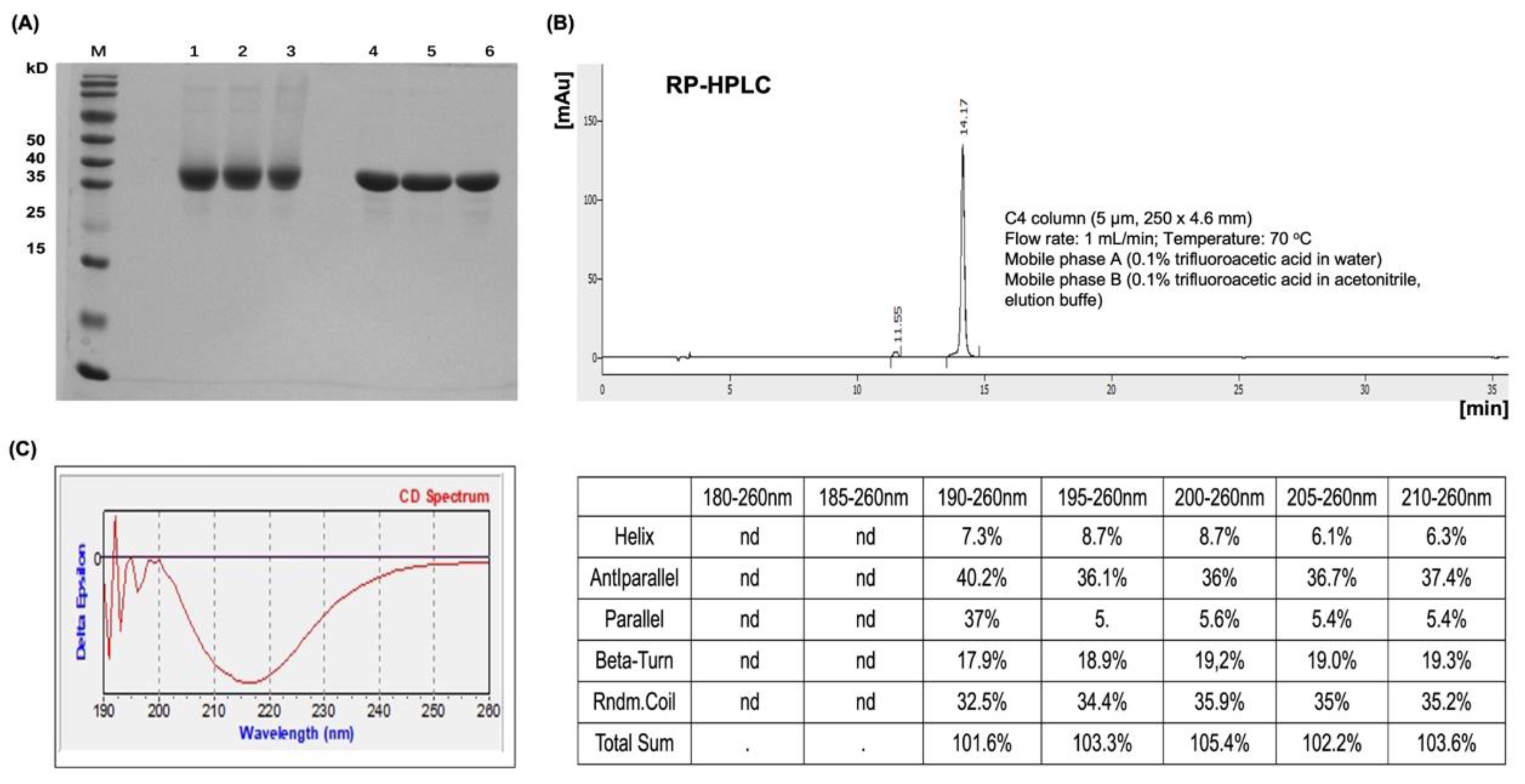 Vaccines 12 00689 g002
