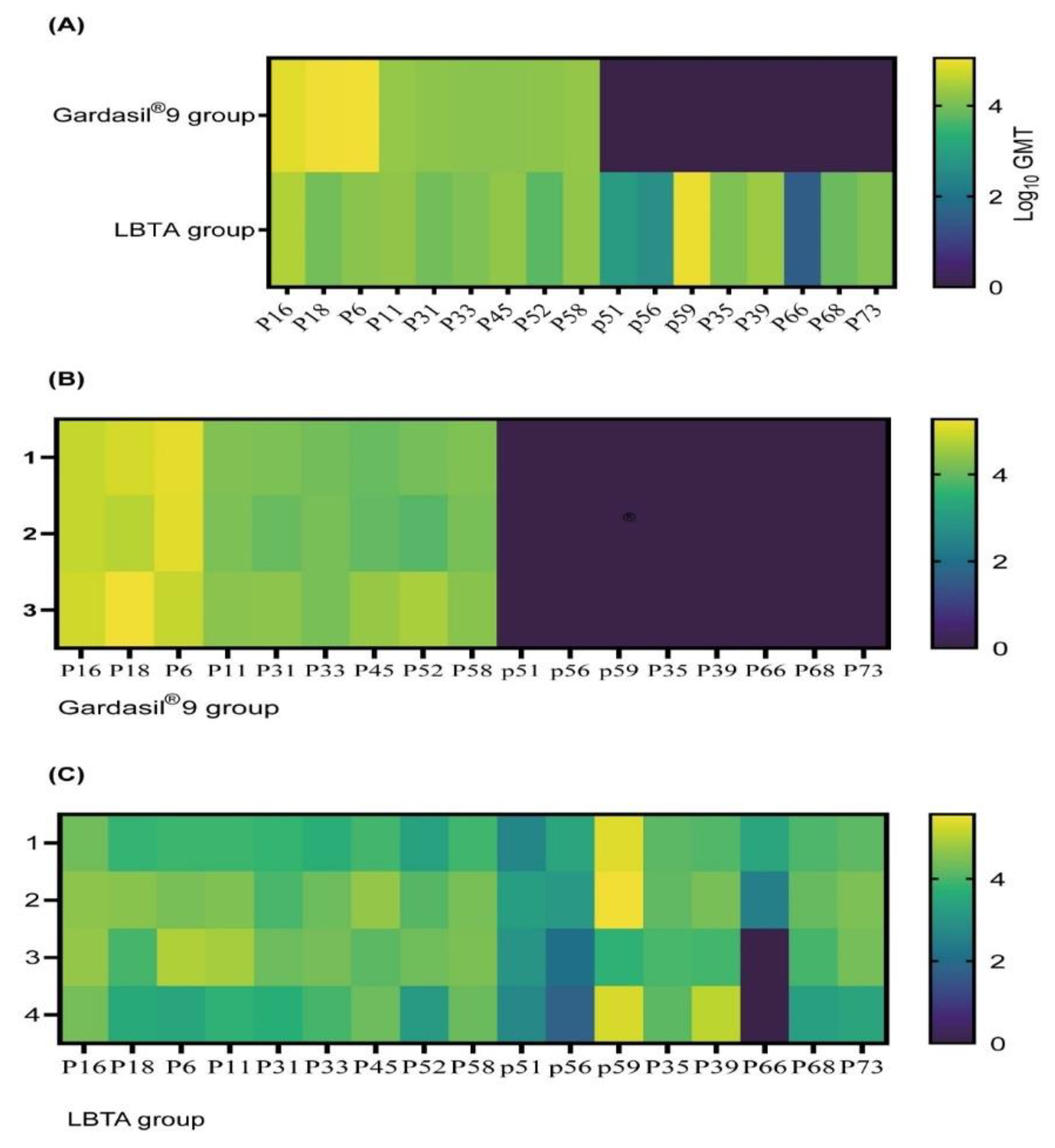 Vaccines 12 00689 g005