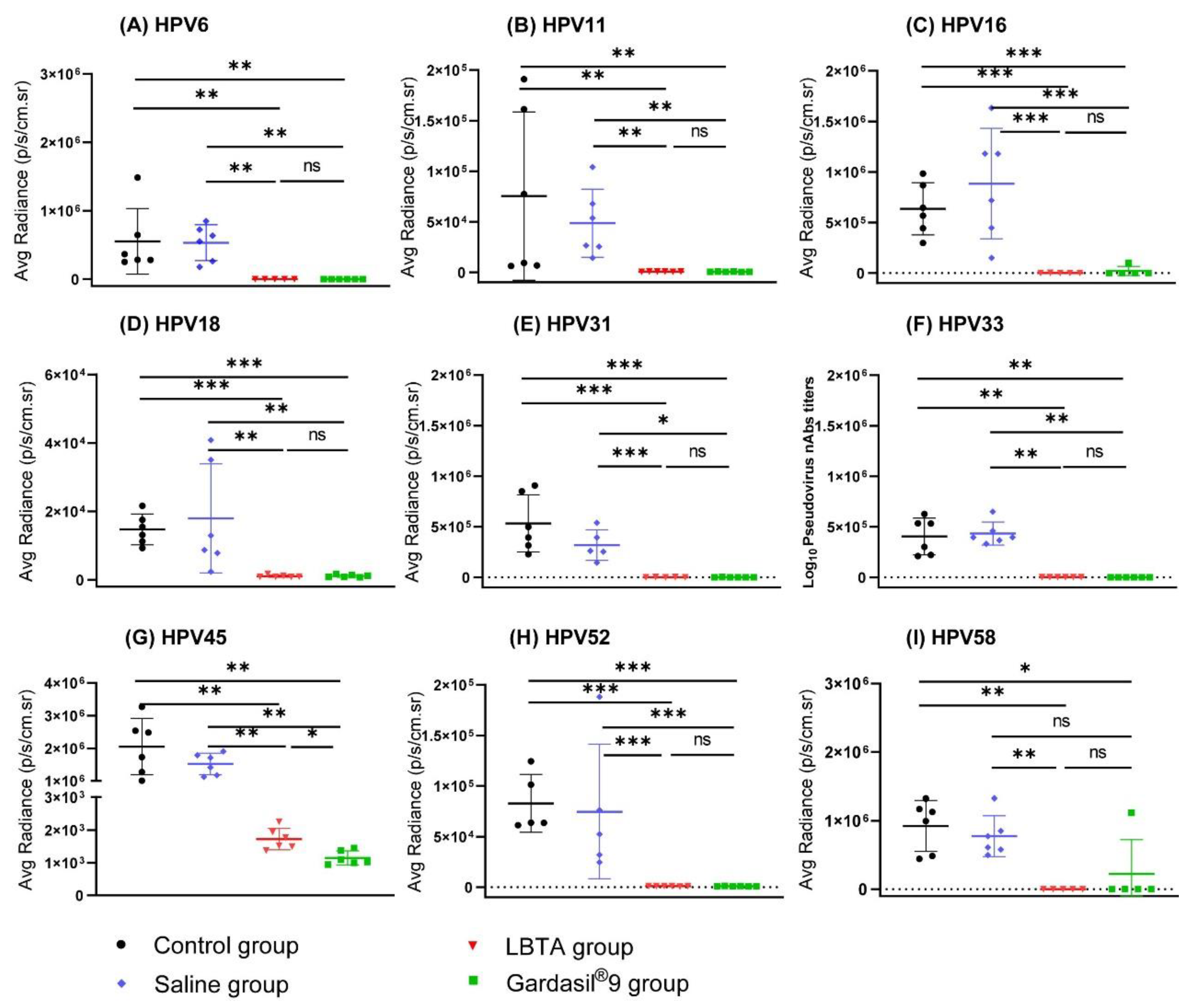 Vaccines 12 00689 g006