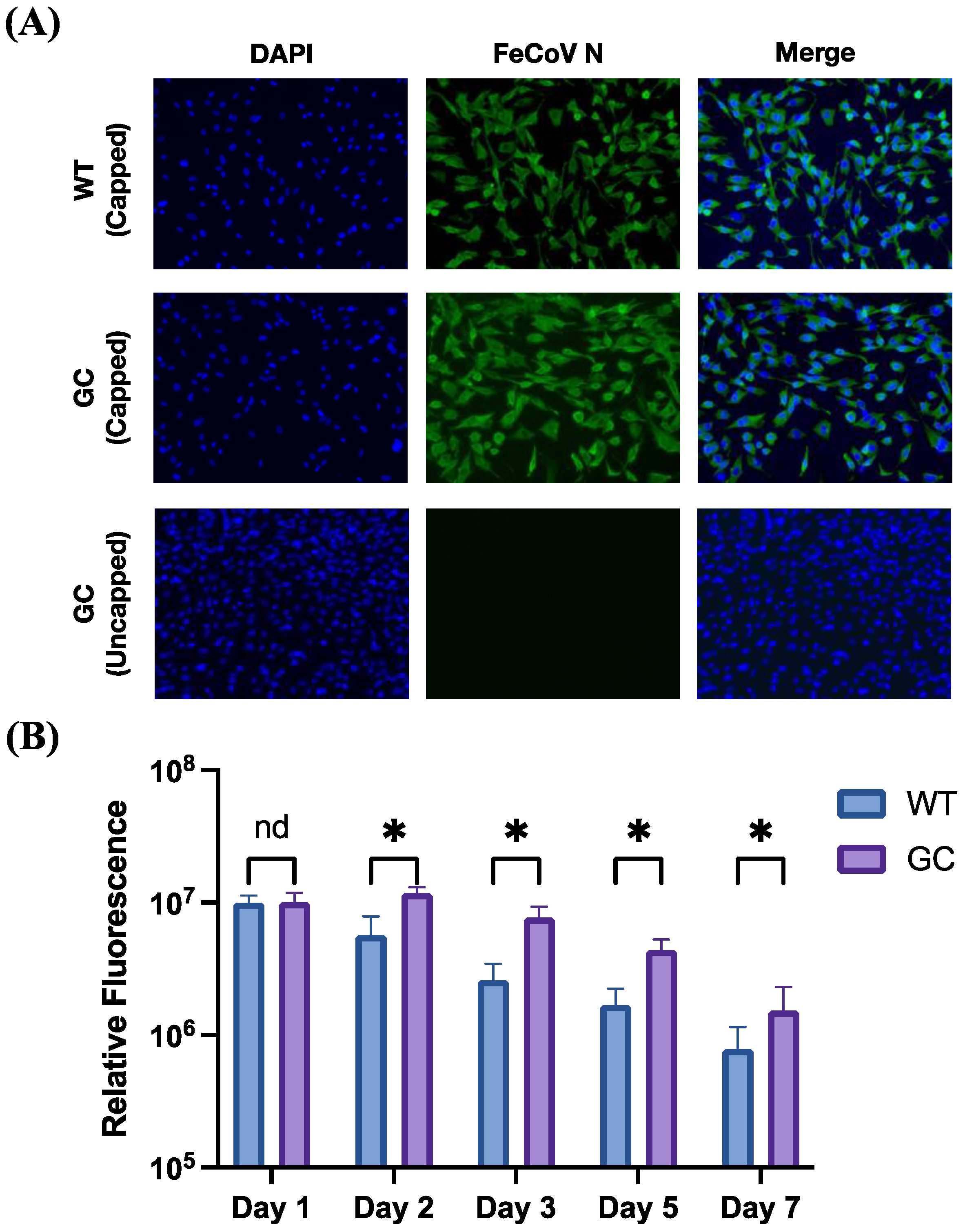 Vaccines 12 00705 g003a