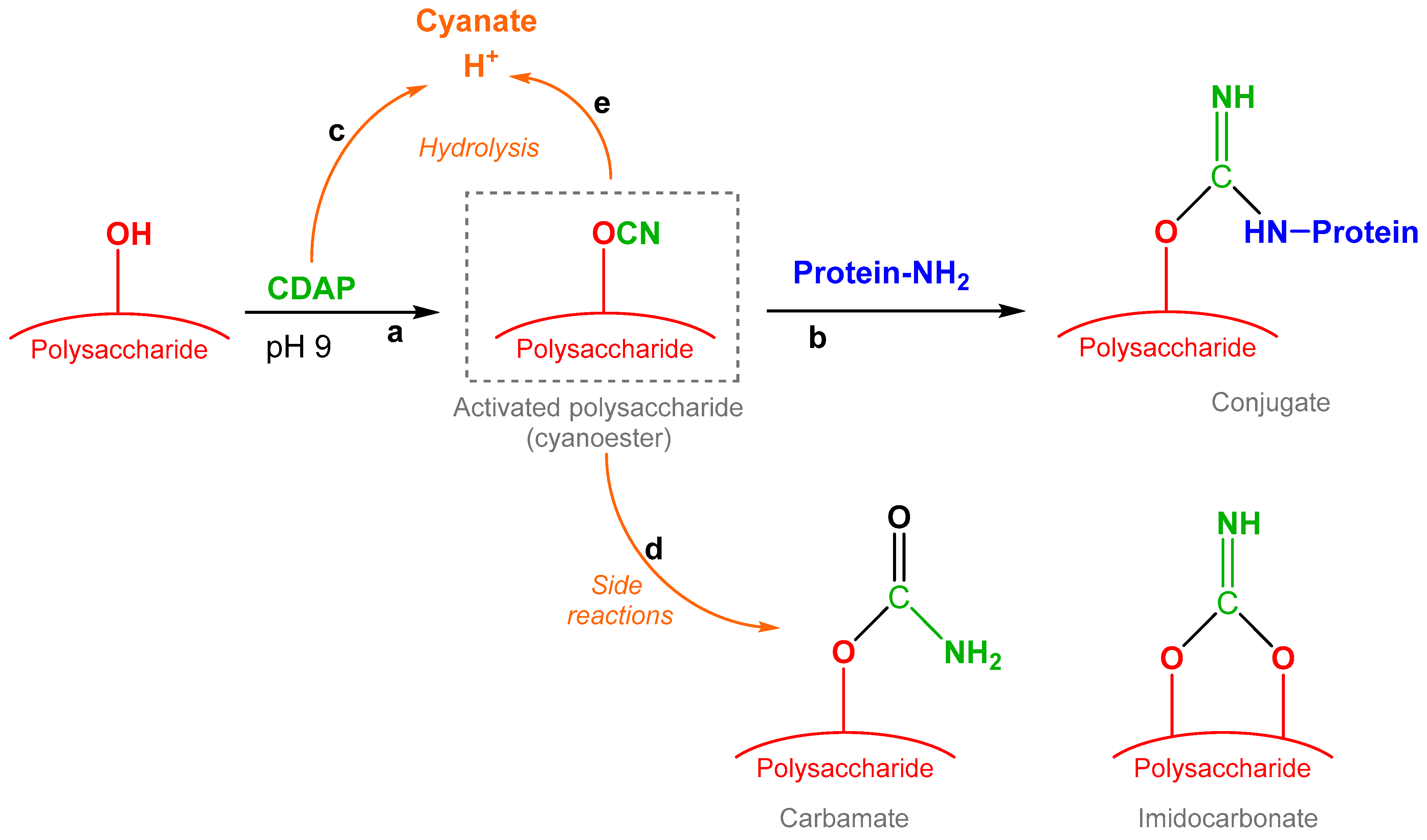 Vaccines 12 00707 g001