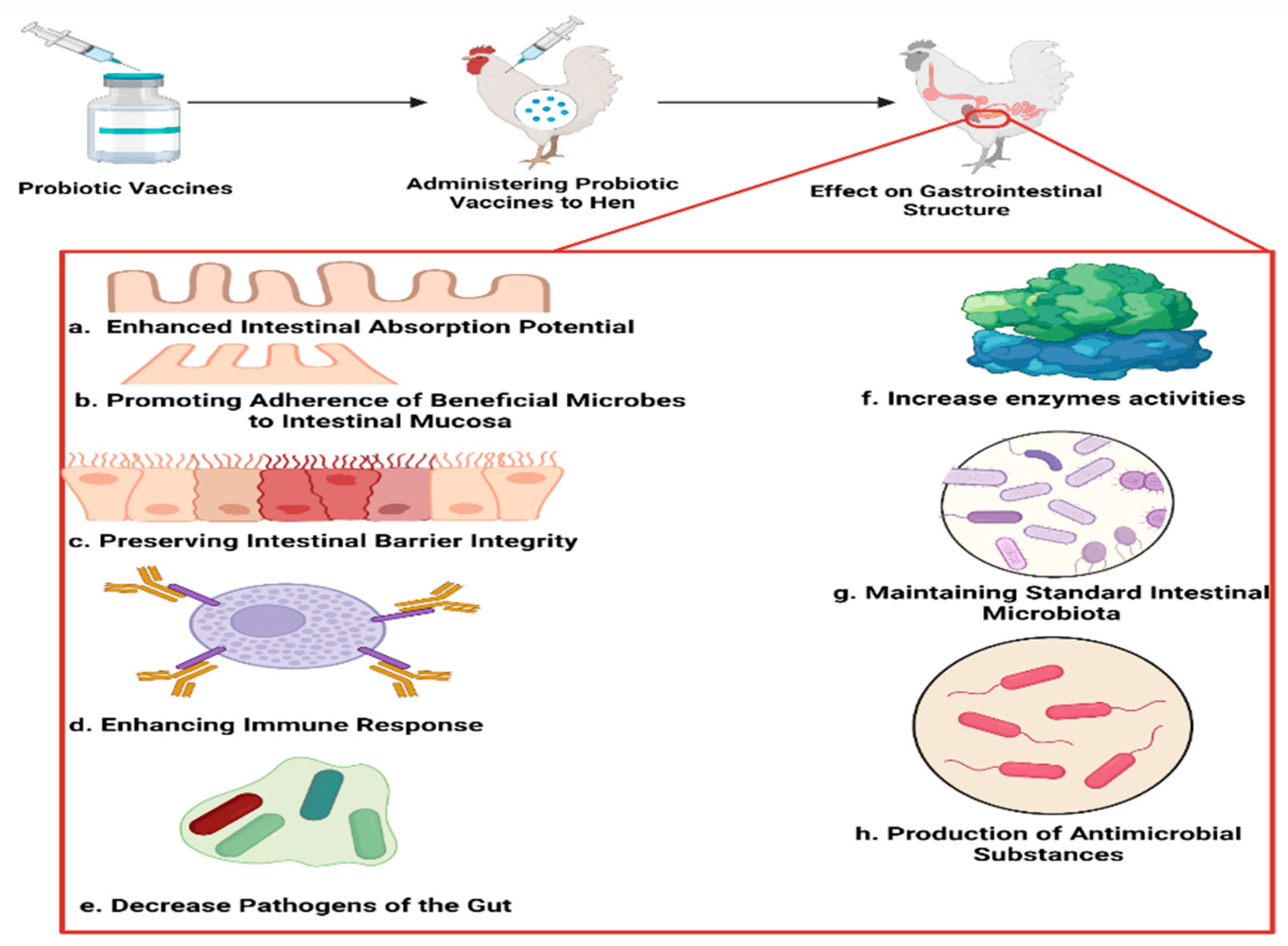 Vaccines 12 00711 g001