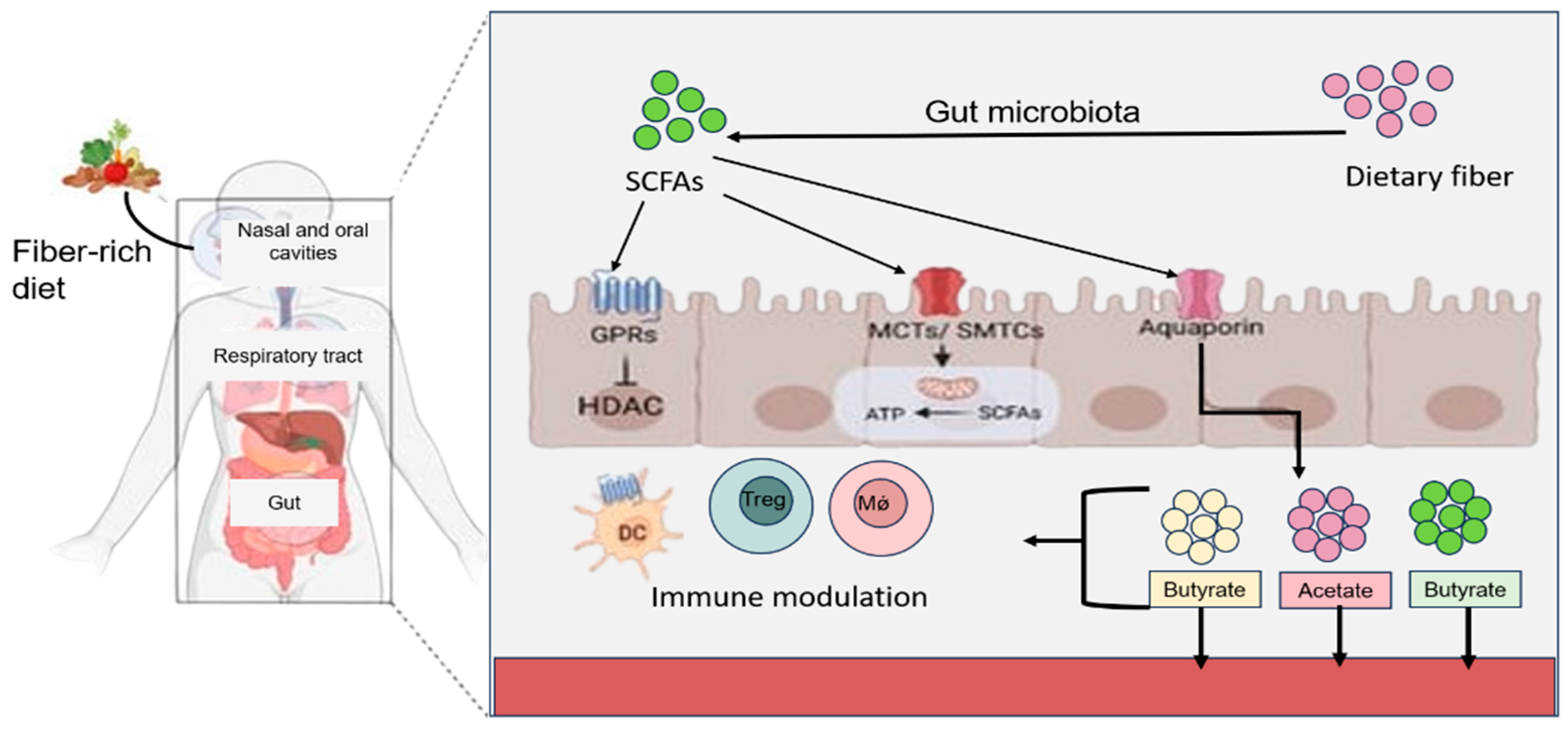 Vaccines 12 00711 g002