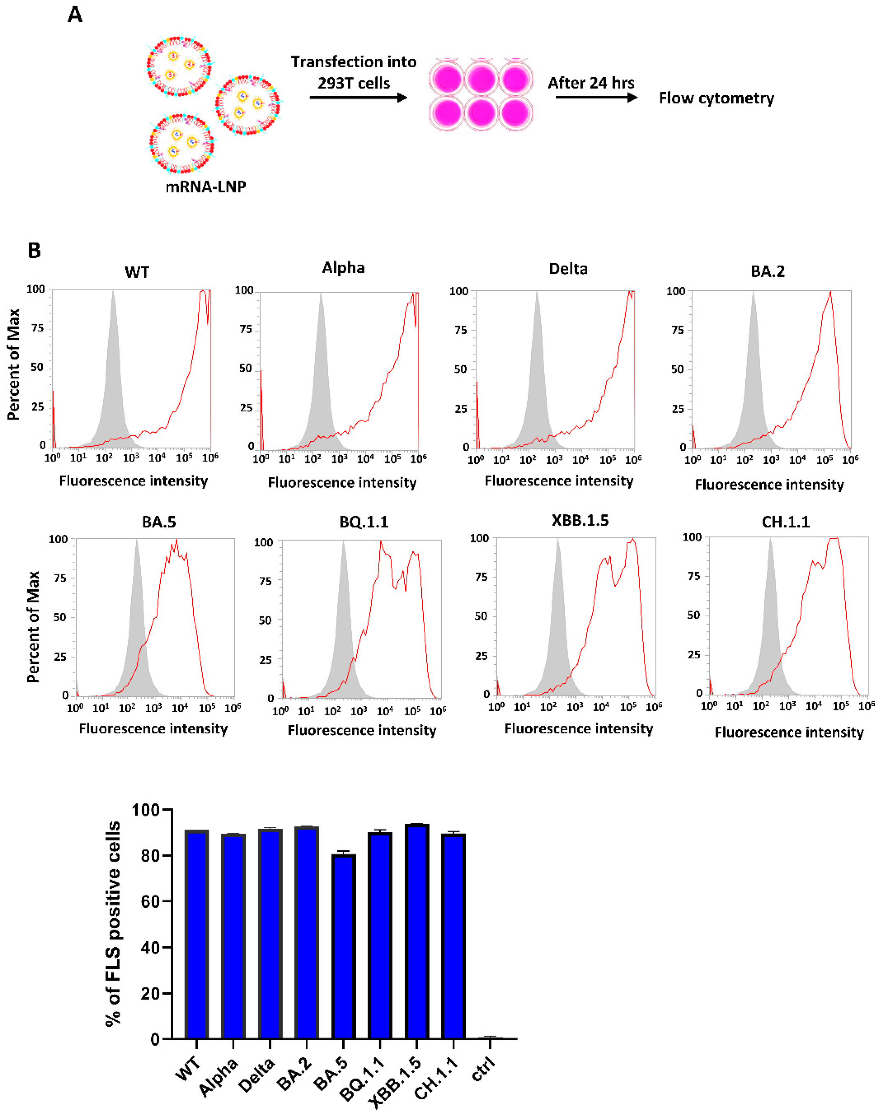 Vaccines 12 00714 g002