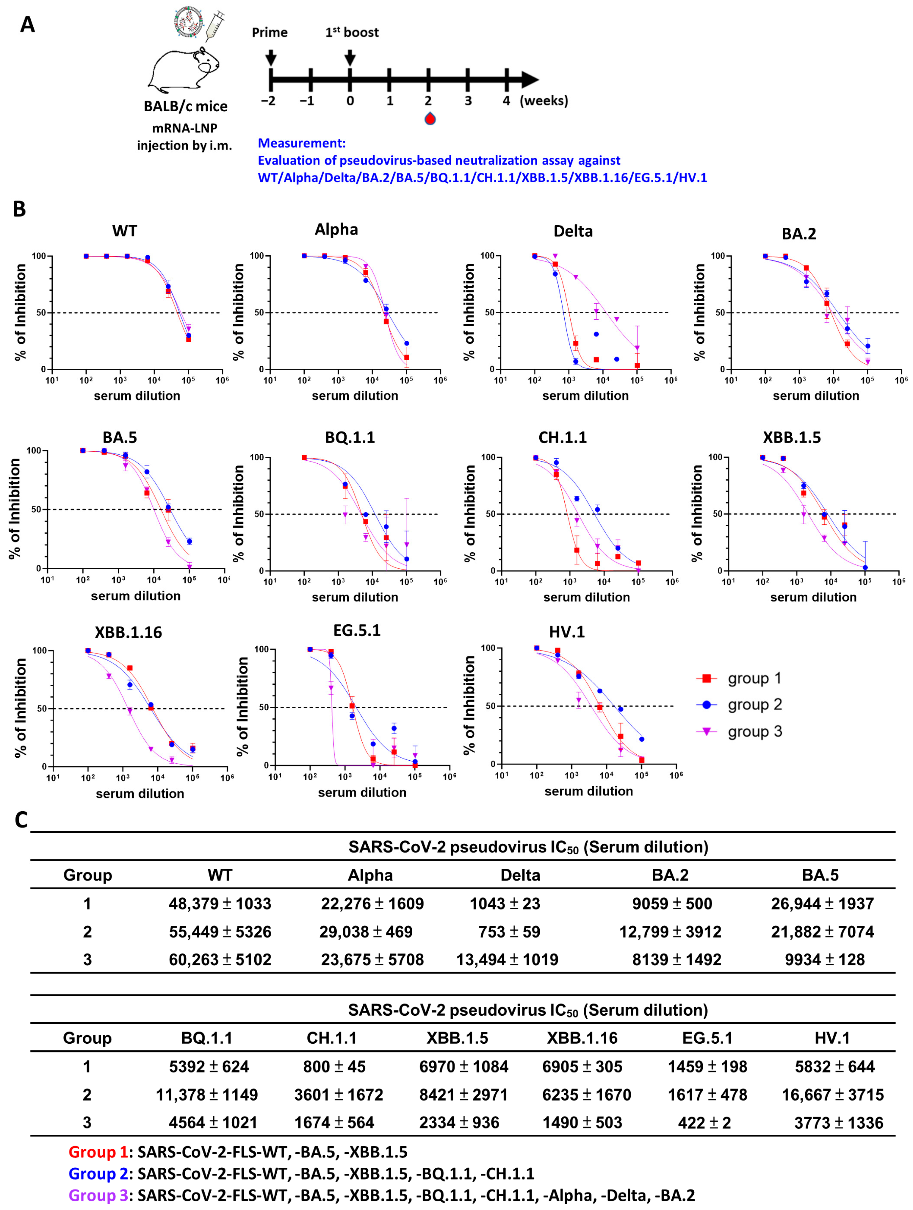 Vaccines 12 00714 g004