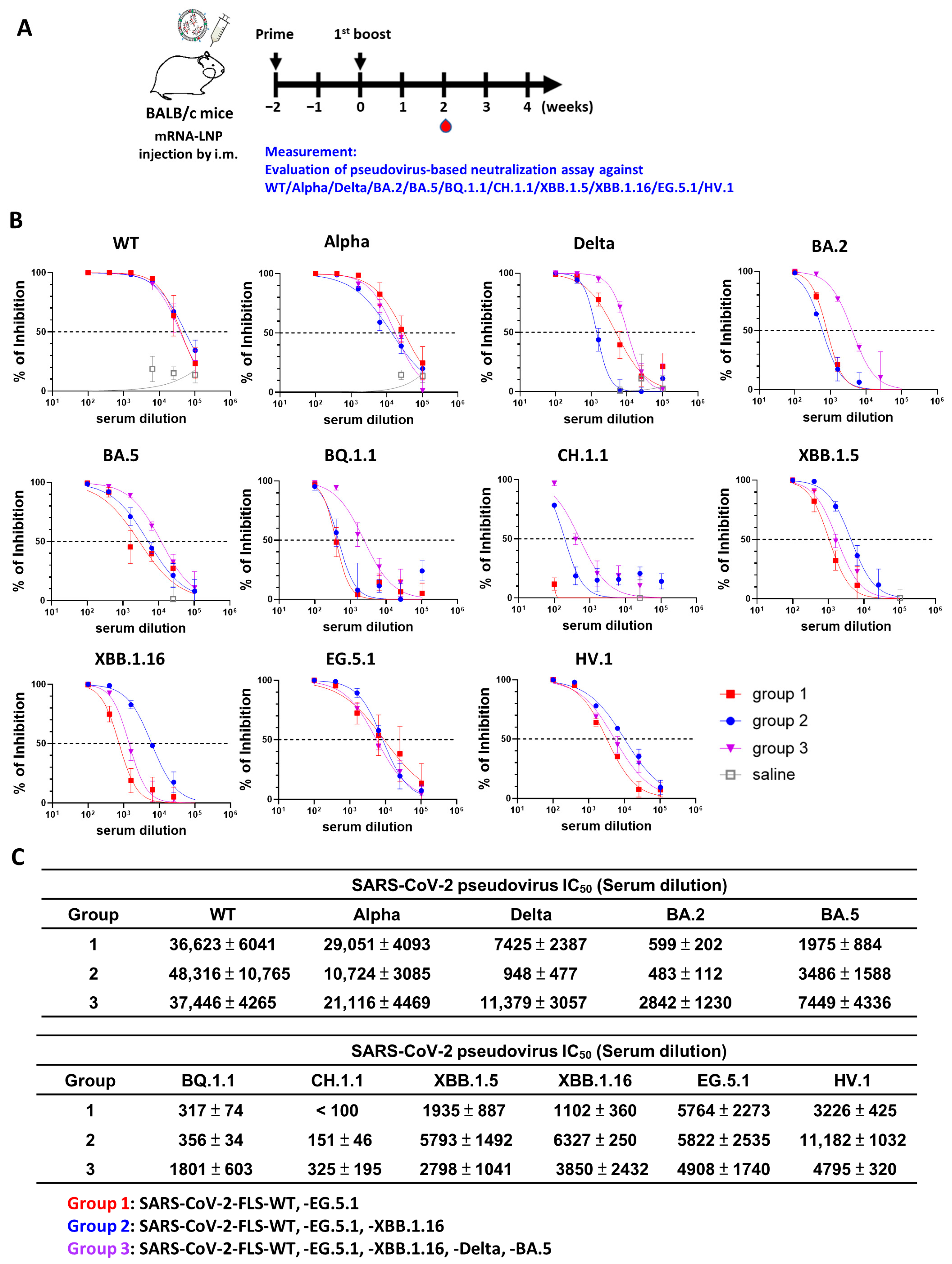 Vaccines 12 00714 g005