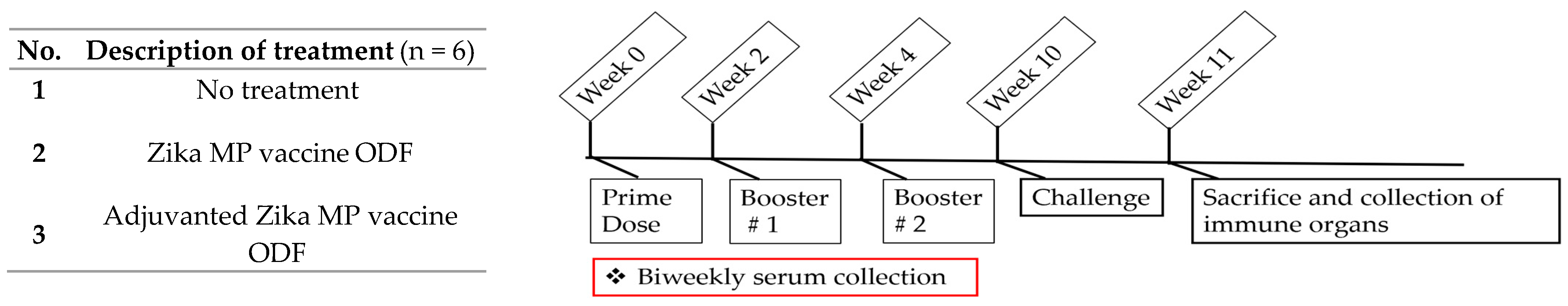 Vaccines 12 00720 g002