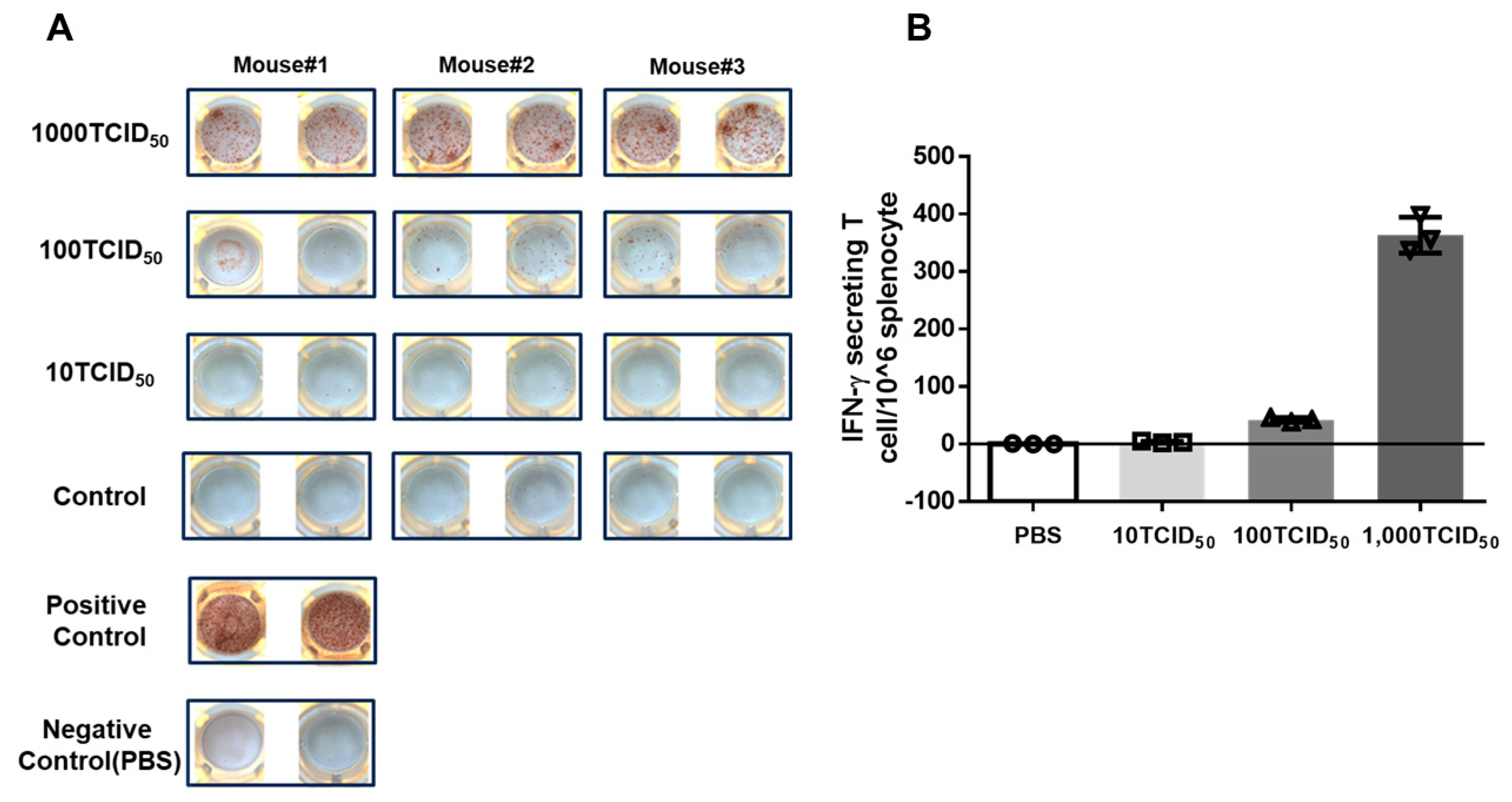 Vaccines 12 00725 g002 Vaccines 12 00725 g002
