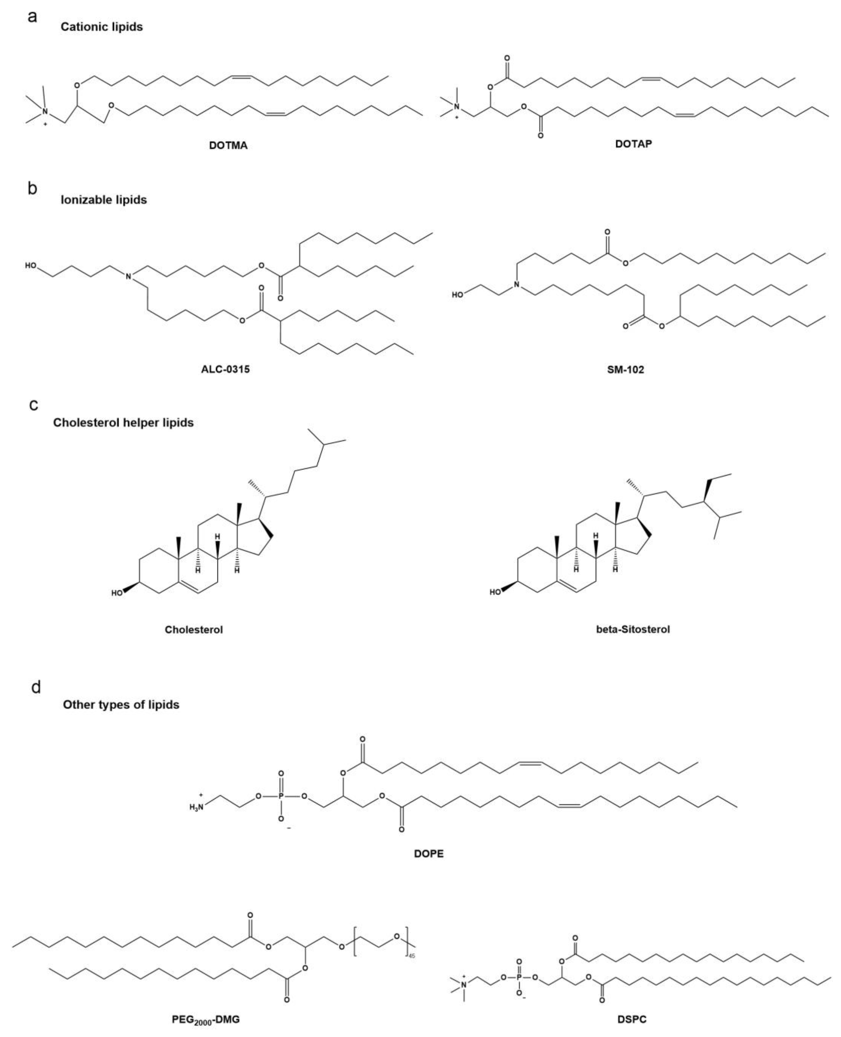Vaccines 12 00727 g002