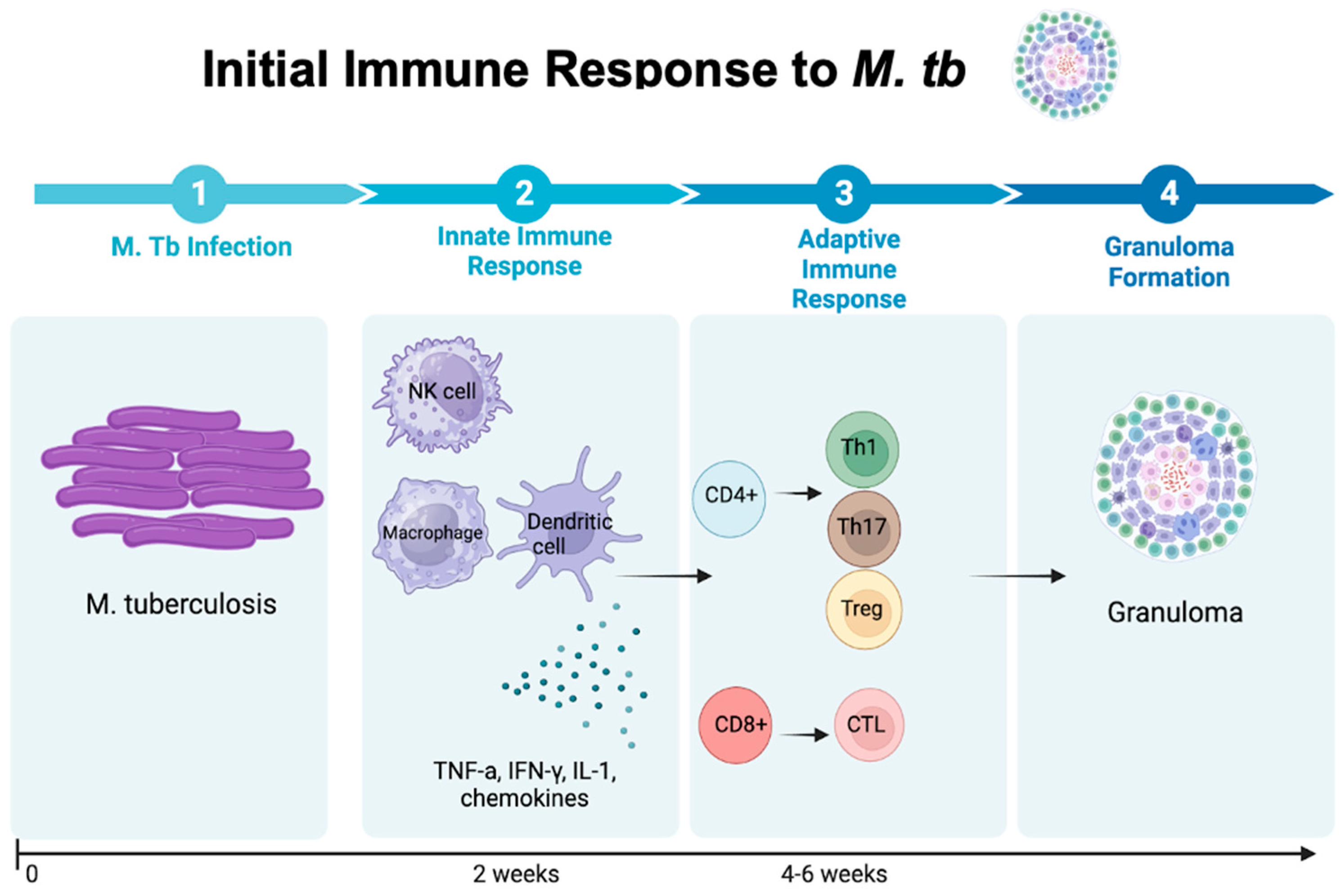 Vaccines 12 00730 g001