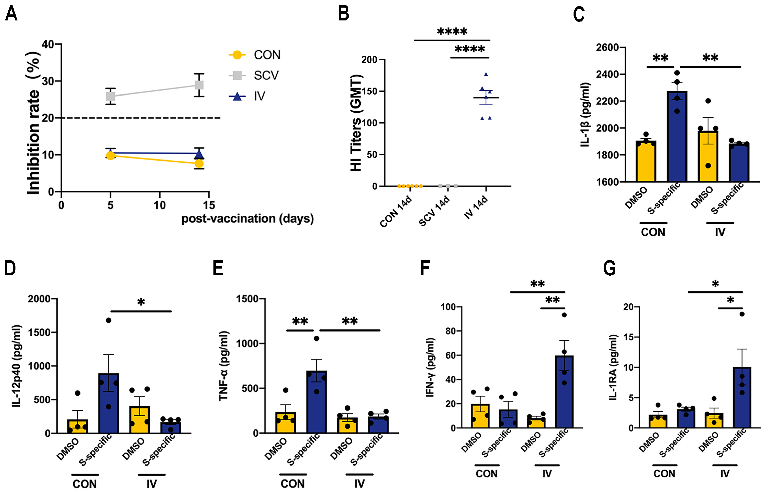 Vaccines 12 00731 g001