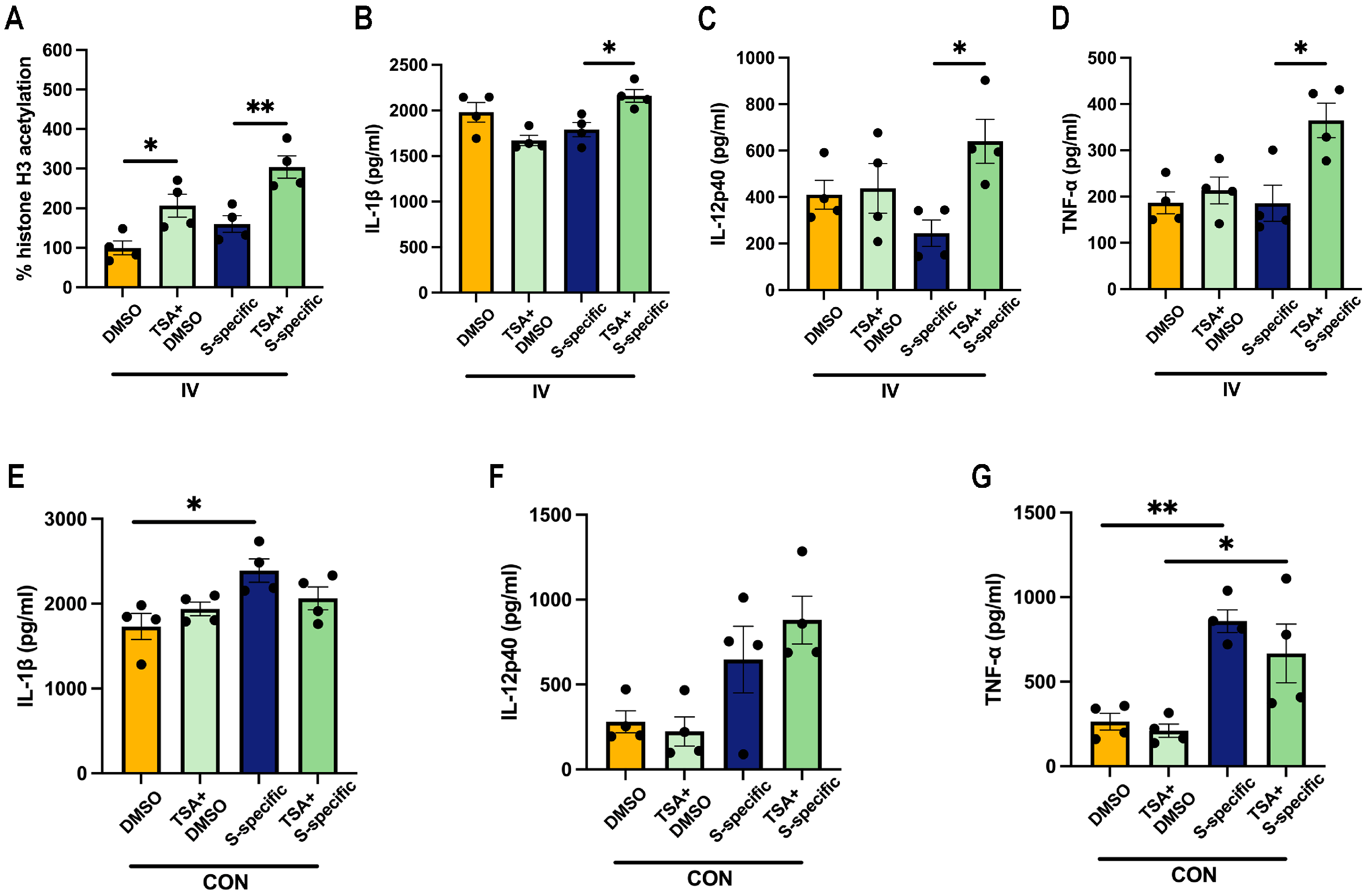 Vaccines 12 00731 g004
