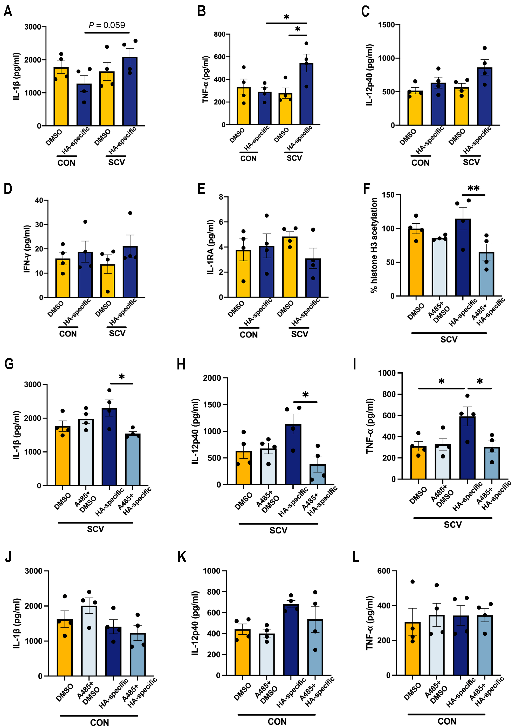 Vaccines 12 00731 g005