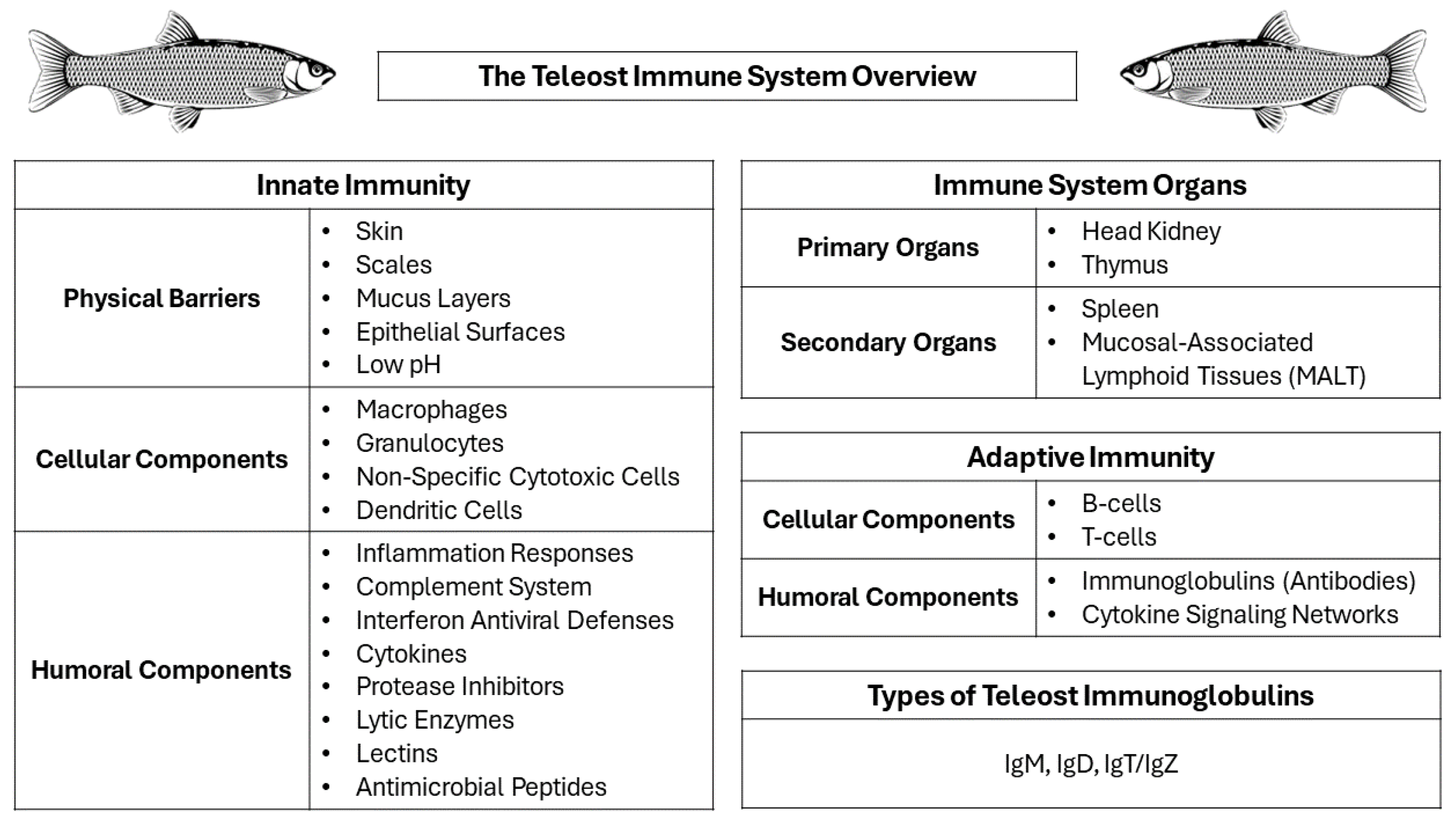 Vaccines 12 00732 g001