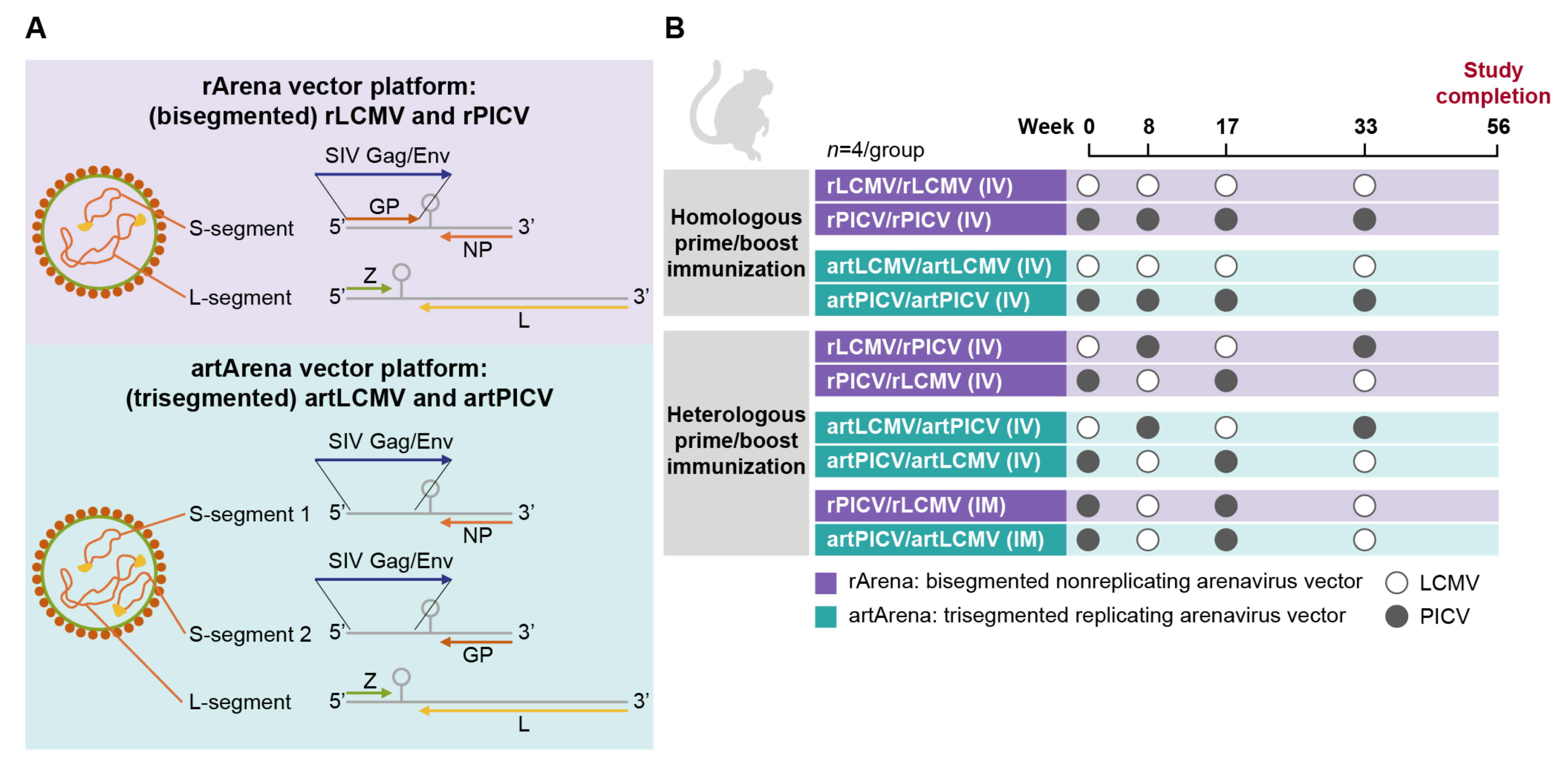 Vaccines 12 00735 g001