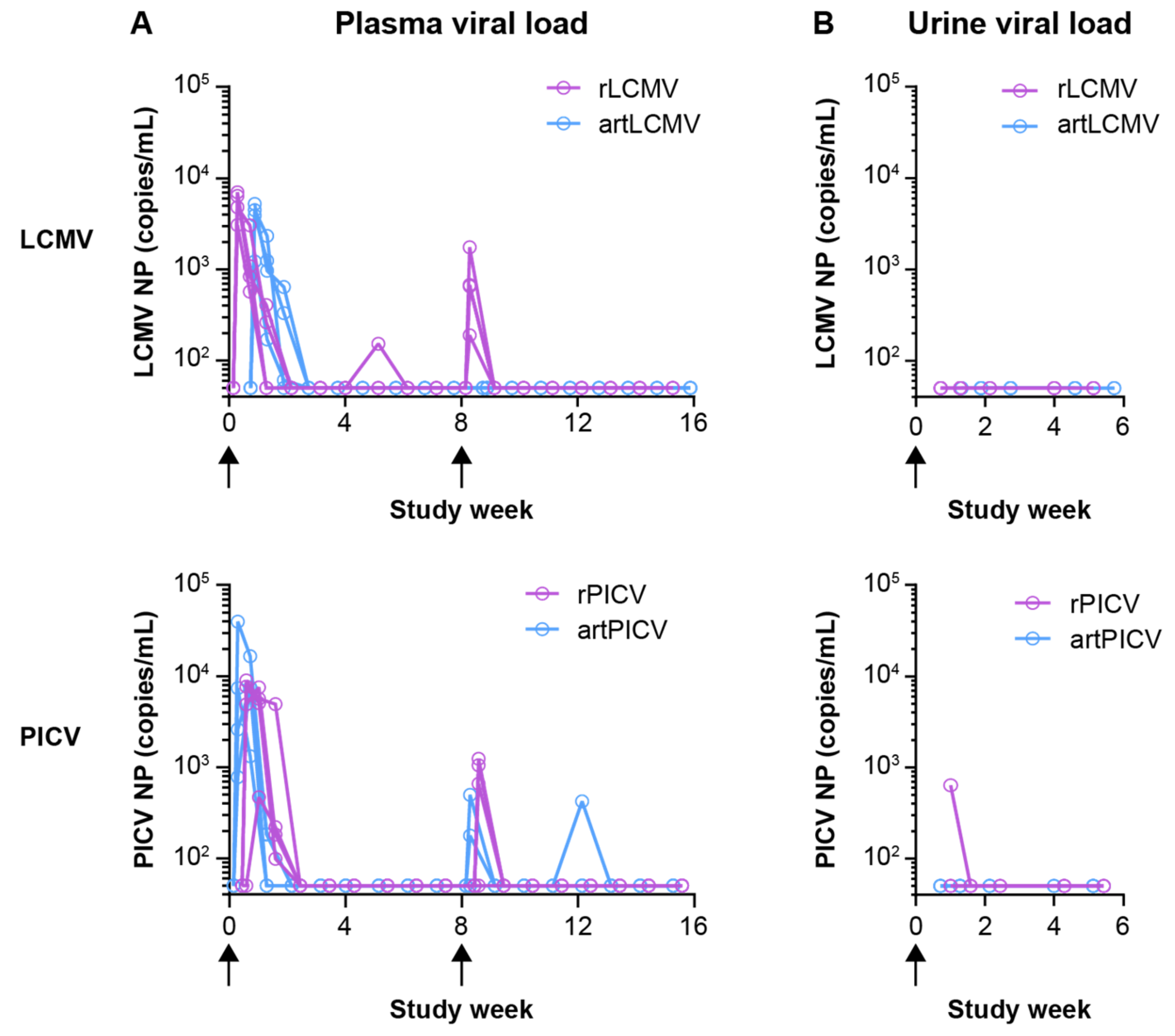 Vaccines 12 00735 g003