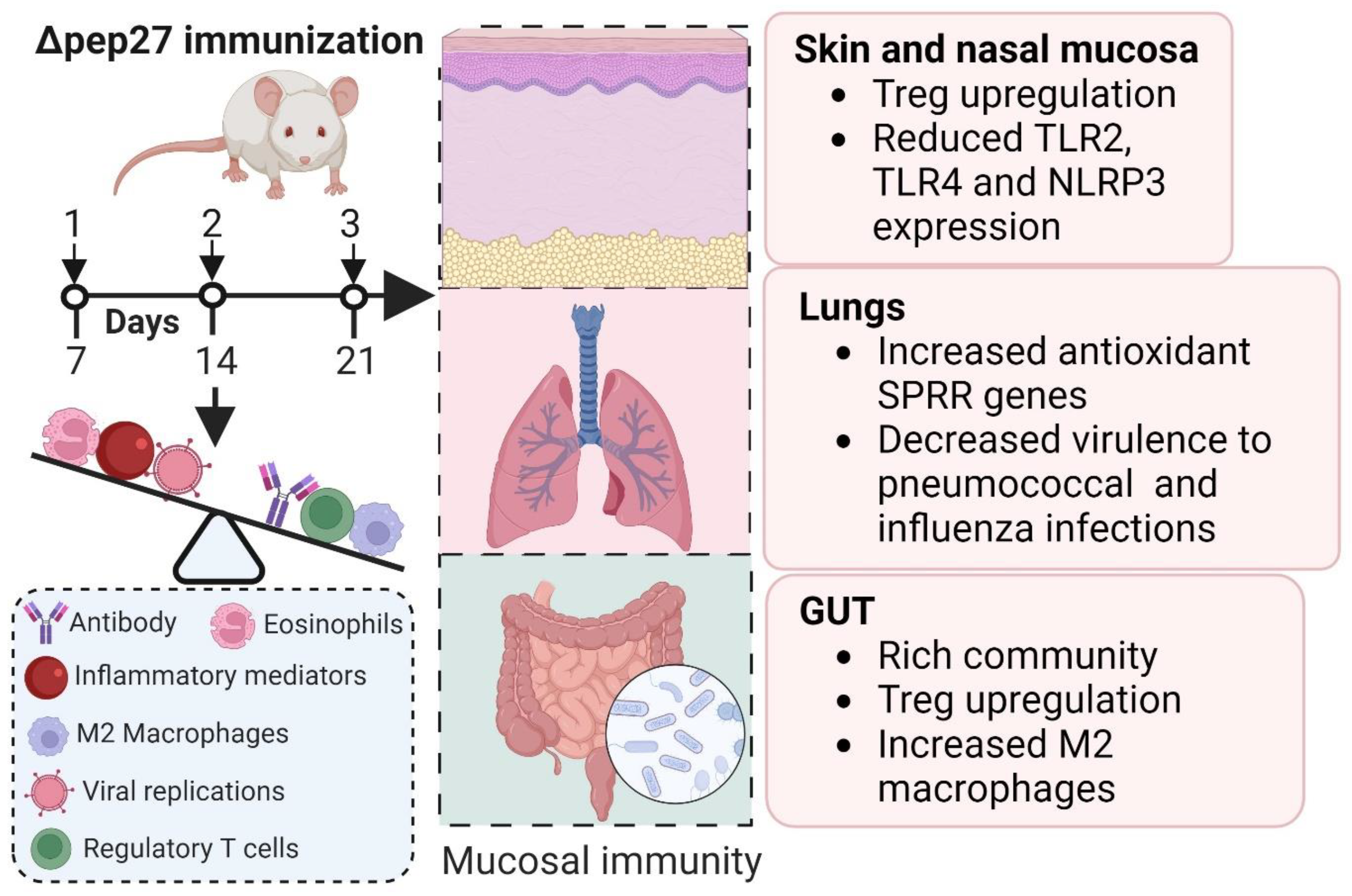Vaccines 12 00737 g001 Vaccines 12 00737 g001