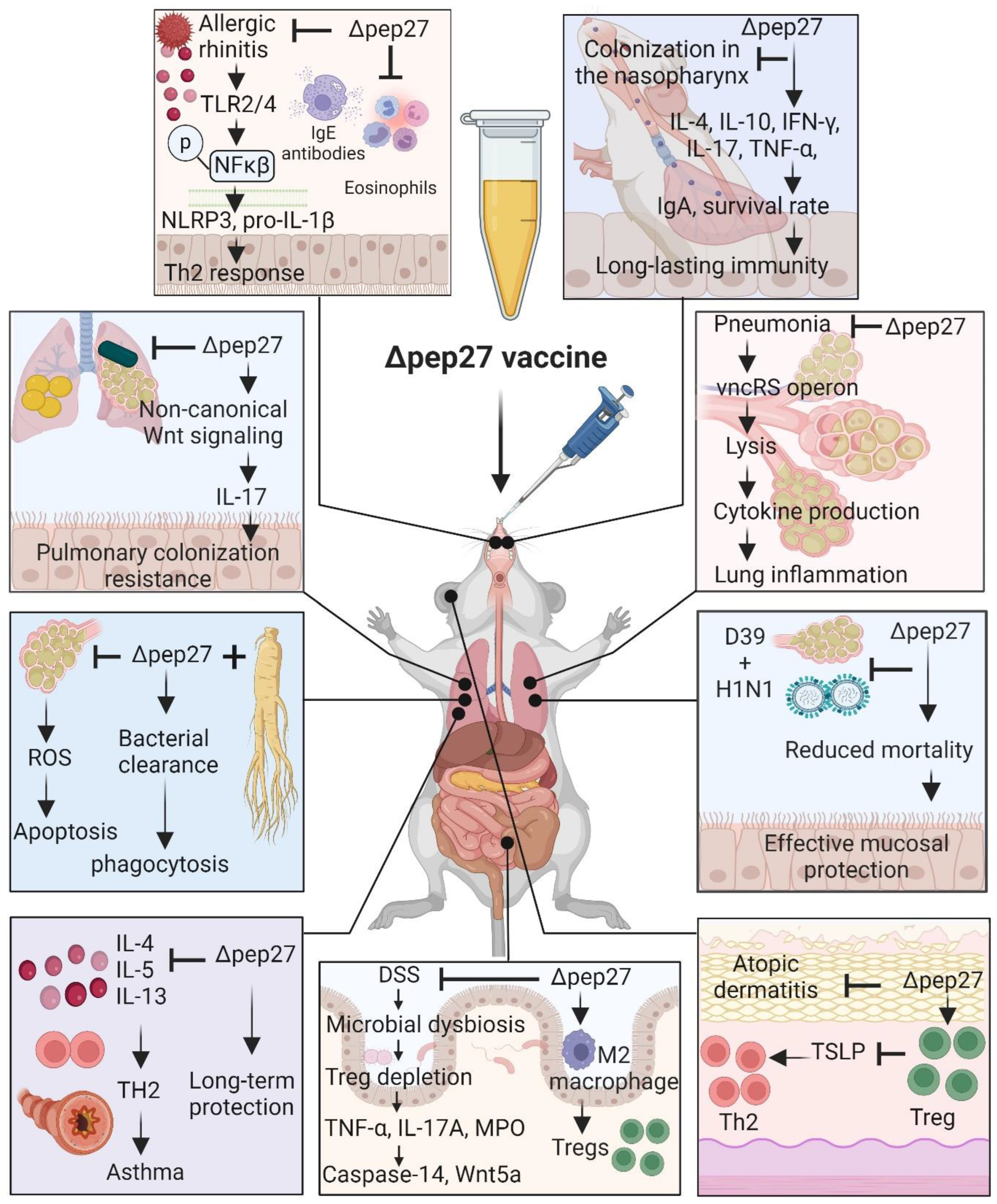 Vaccines 12 00737 g002 Vaccines 12 00737 g002