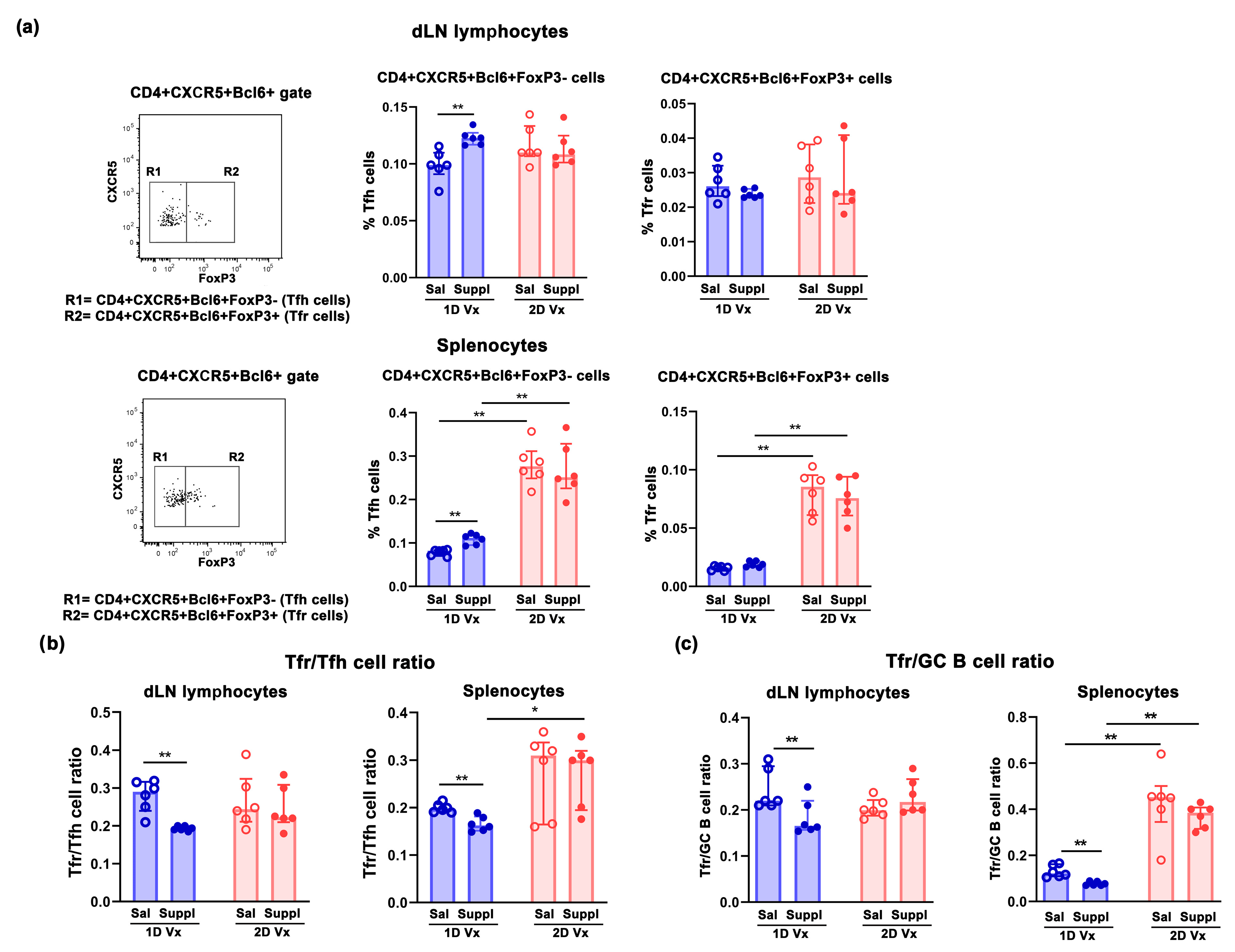 Vaccines 12 00743 g005 Vaccines 12 00743 g005