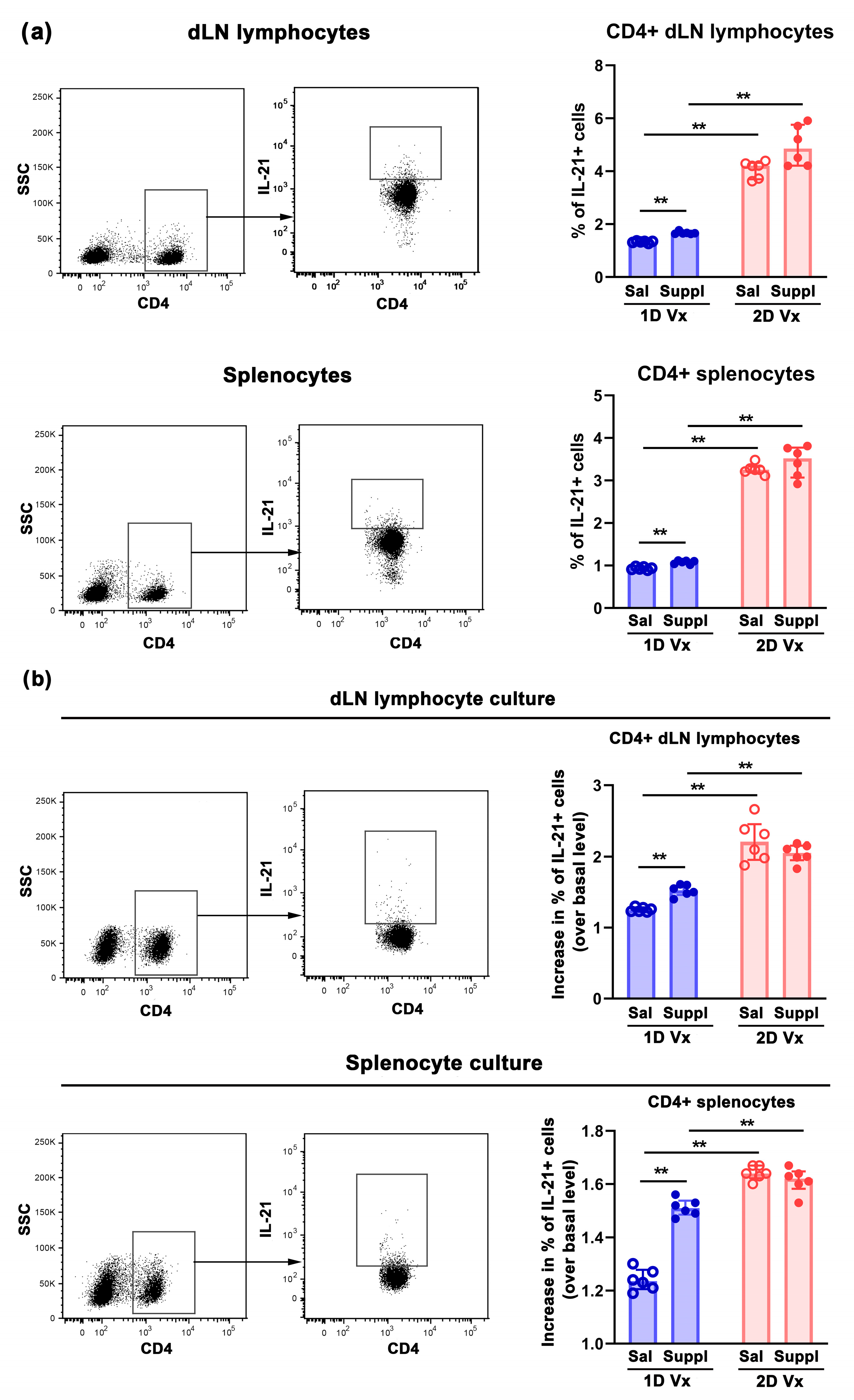 Vaccines 12 00743 g006 Vaccines 12 00743 g006